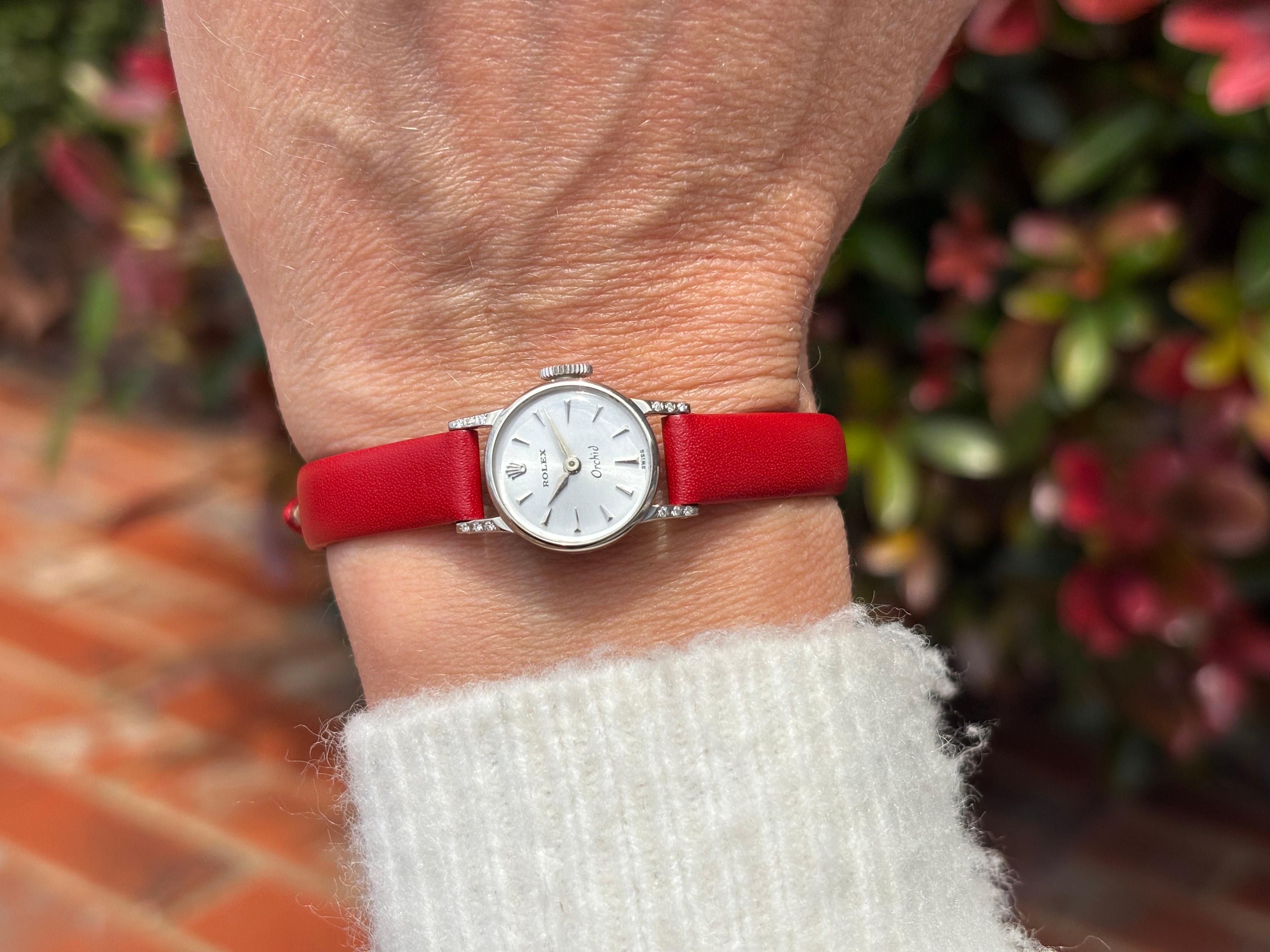 1971 Rolex ORCHID Pre-Cellini Vintage Ladies Watch, Ref. 2148 - 18K White Gold For Sale 5