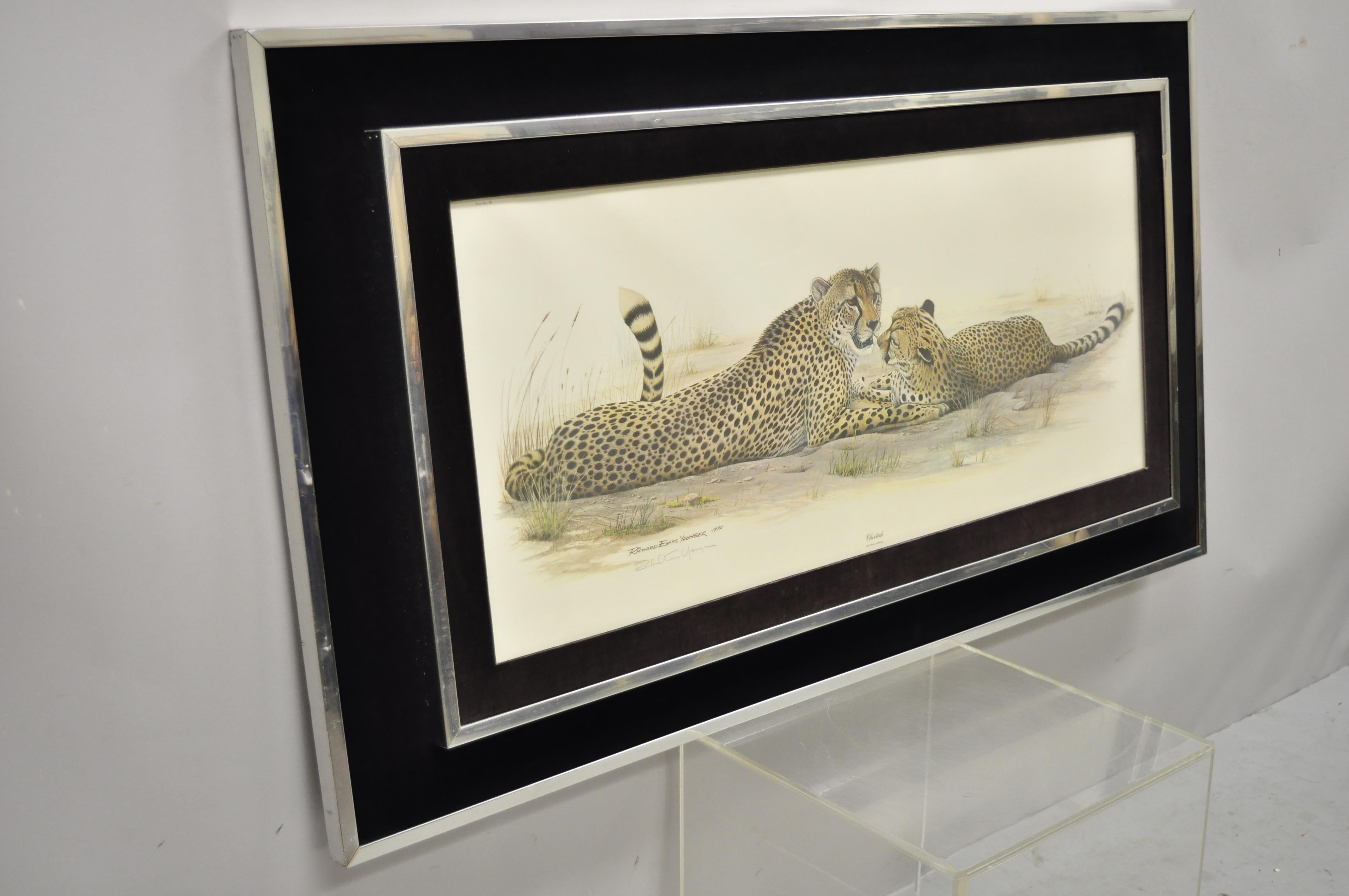 1972 Cheetah Lithograph Art by Richard Evans Younger in Velvet Chrome Frame For Sale 2