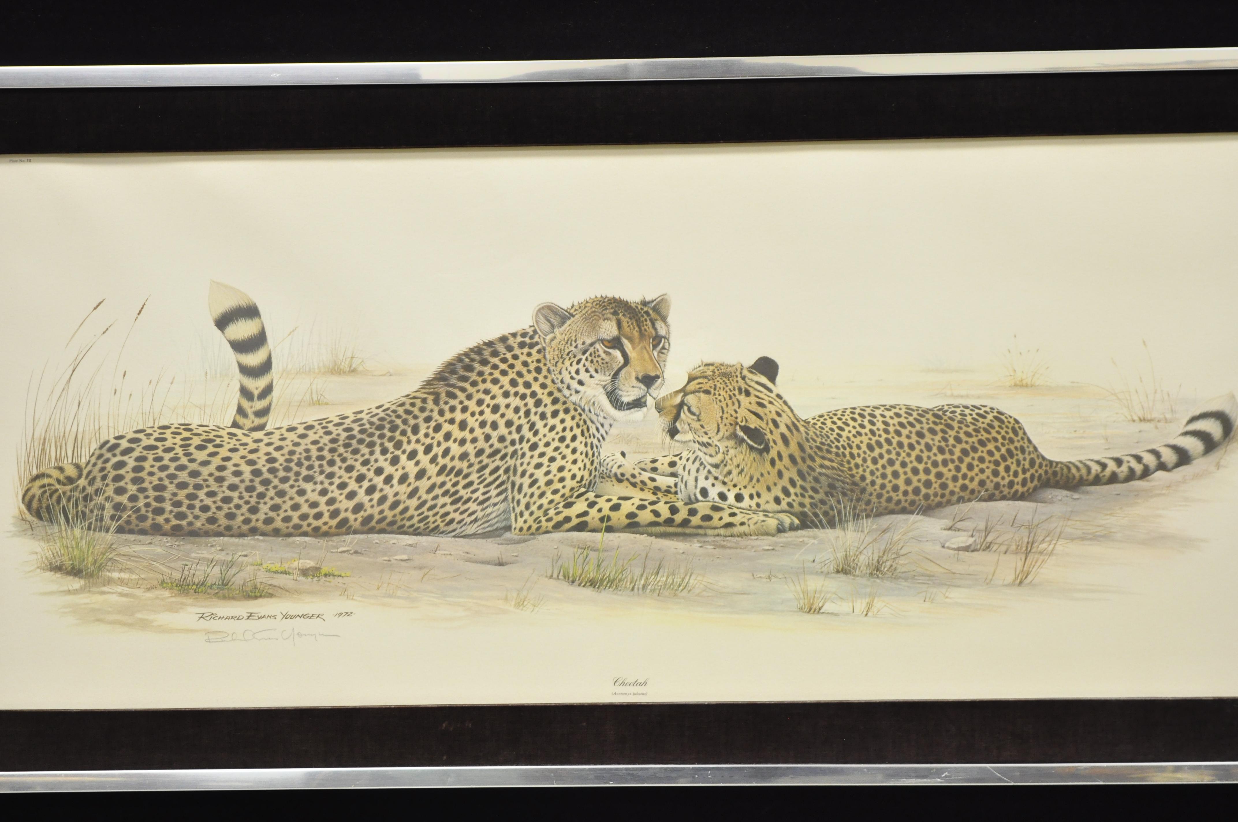 1972 Cheetah lithograph Art by Richard Evans Younger in velvet chrome frame. Item features artist signed and dated to bottom corner, large impressive size, velvet and chrome frame, very nice vintage item, quality American craftsmanship, great style