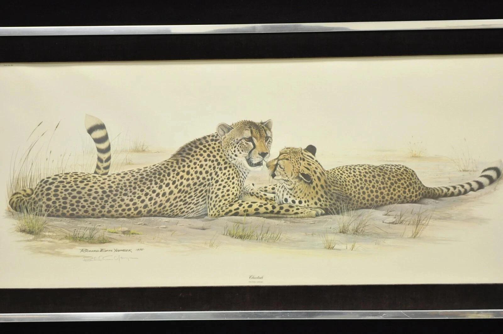 1972 Cheetah Lithograph Art by Richard Evans Younger in Velvet Chrome Frame. Item featured is artist signed and dated to bottom corner, large impressive size, velvet and chrome frame, very nice vintage item, quality American craftsmanship, great