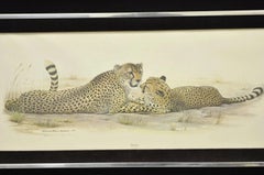 1972 Cheetah Lithograph Art by Richard Evans Younger in Velvet Chrome Frame