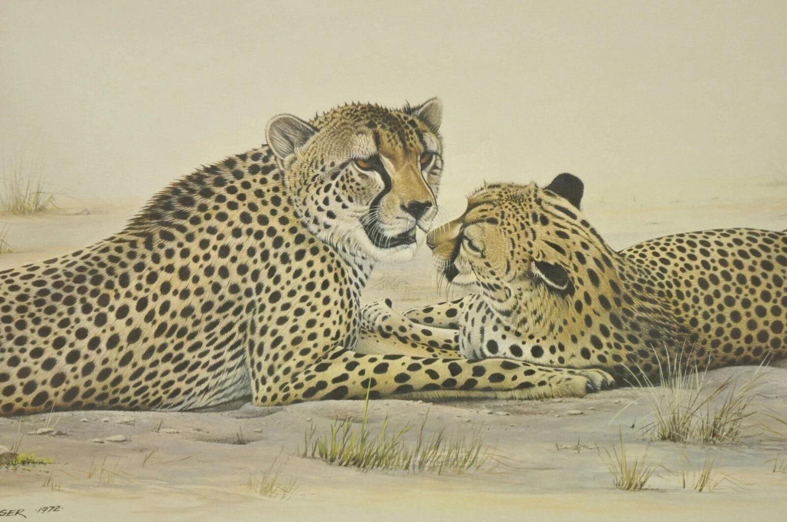 Mid-Century moderno 1972 Cheetah Lithograph Art by Richard Evans Younger in Velvet Chrome Frame in vendita