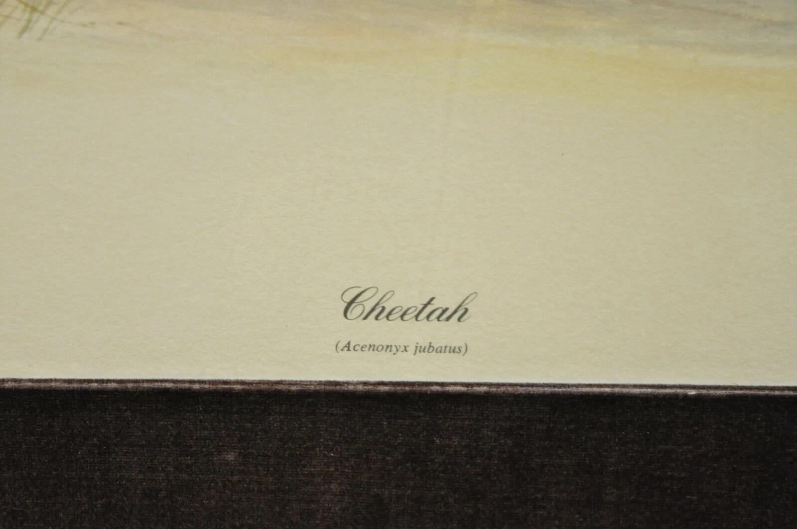 1972 Cheetah Lithograph Art by Richard Evans Younger in Velvet Chrome Frame In condizioni buone in vendita a Philadelphia, PA