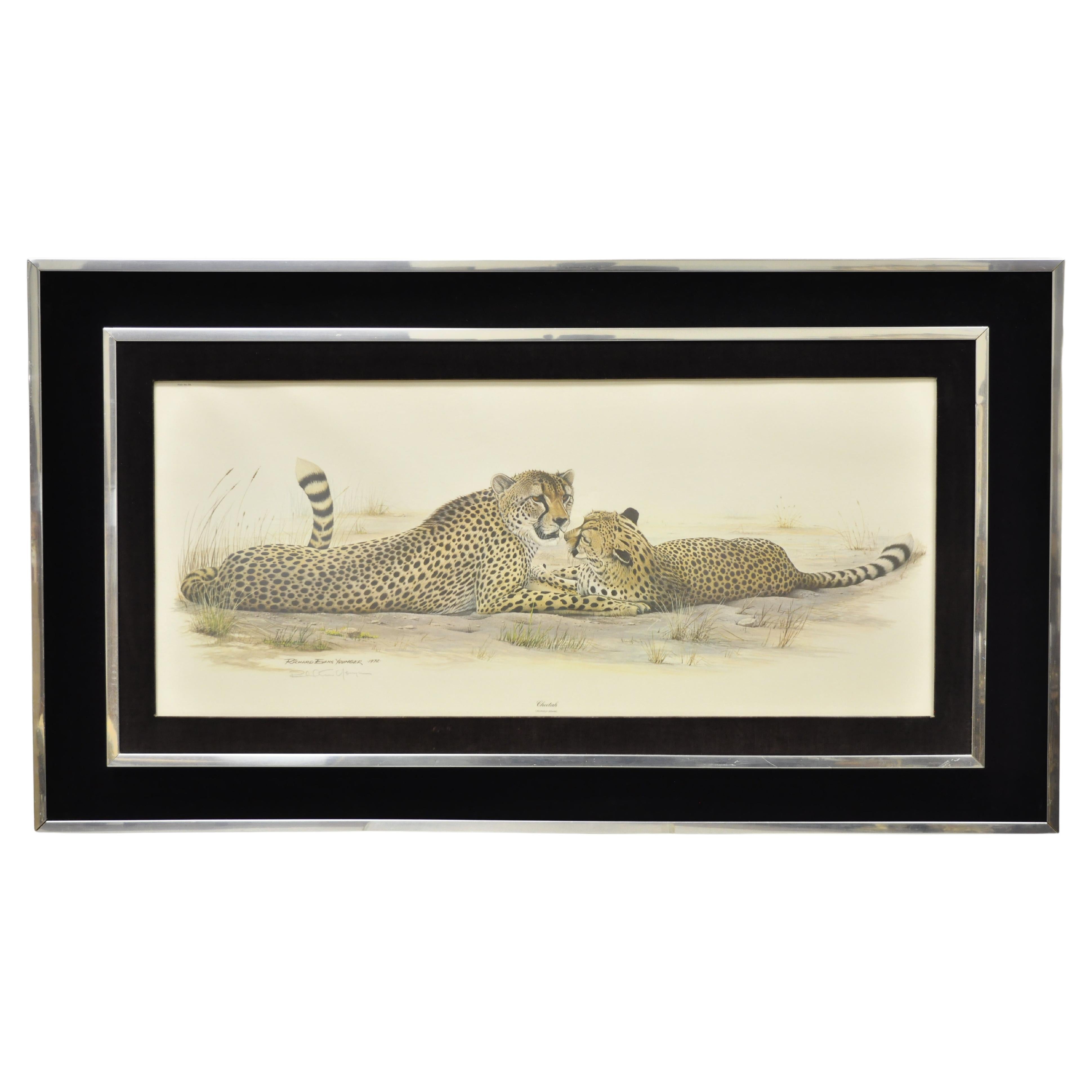 1972 Cheetah Lithograph Art by Richard Evans Younger in Velvet Chrome Frame For Sale