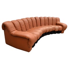 1972 De Sede DS-600 Snake Sofá seccional Sofá de piel marrón coñac Suiza