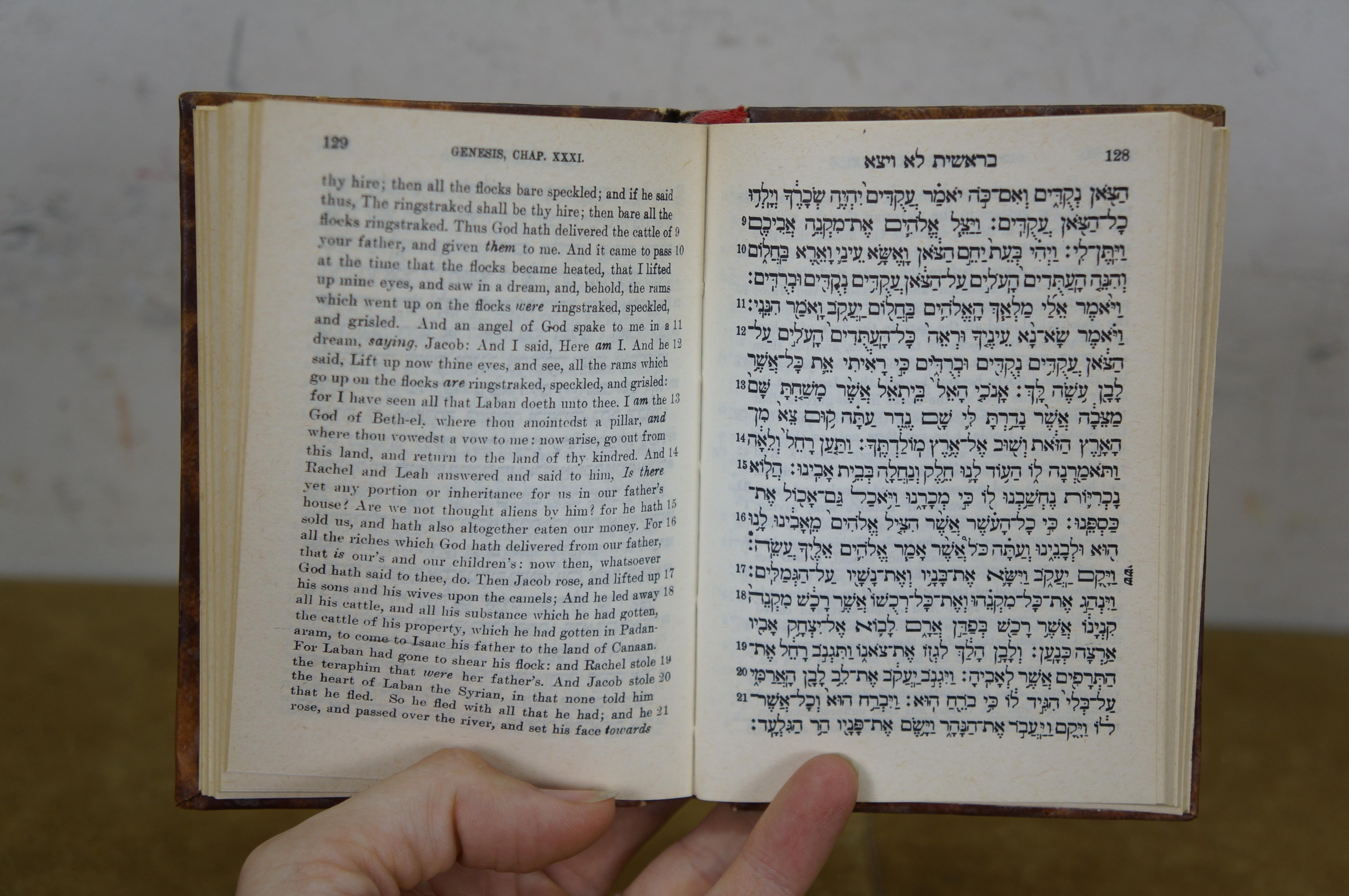 1973 Bibbia ebraica traduzione inglese 5 libri di Mosè supporto in ottone Judaica 7