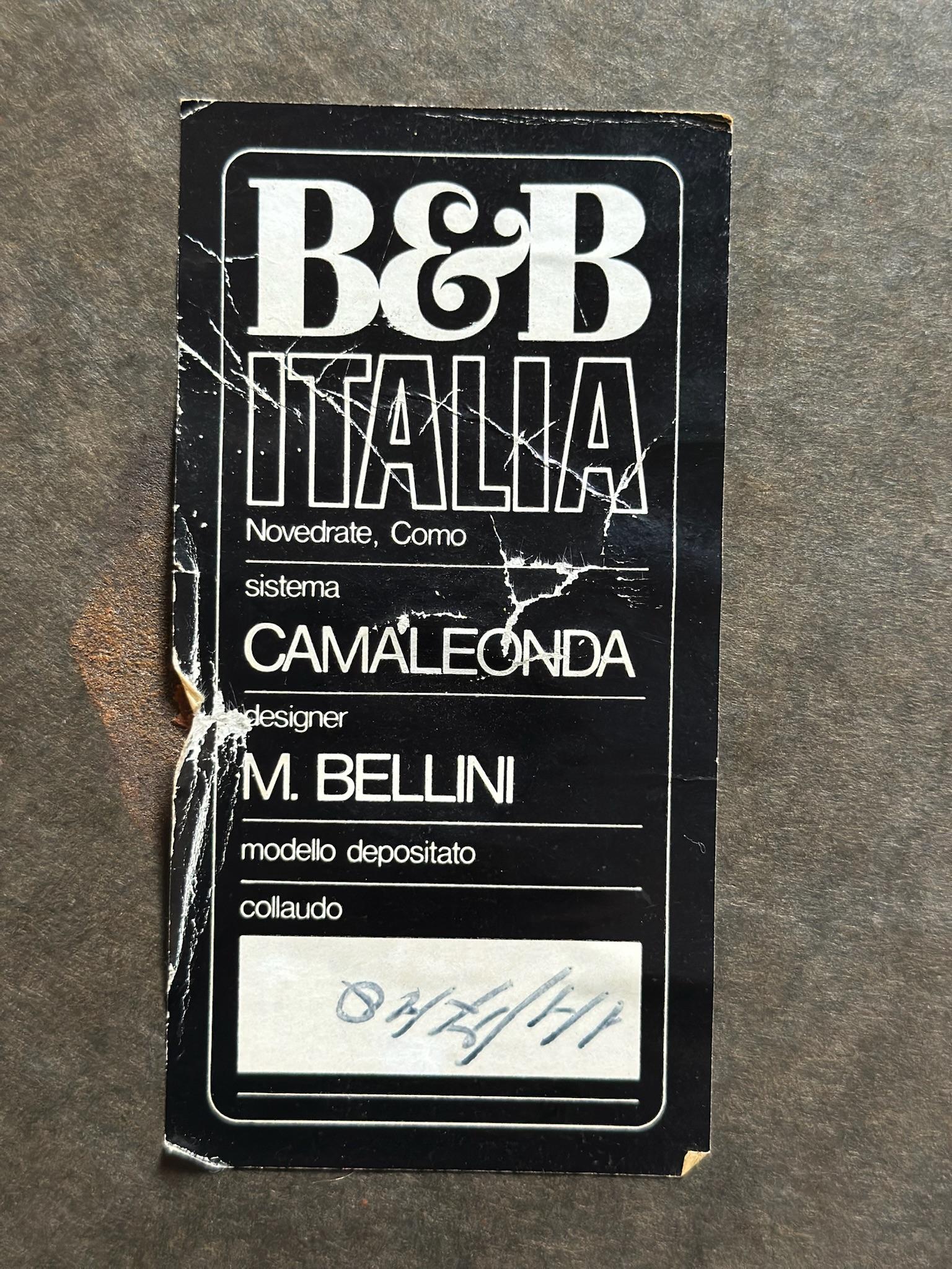 1973 Mario Bellini para B&B Italia Sofá modular Camaleonda en venta 8