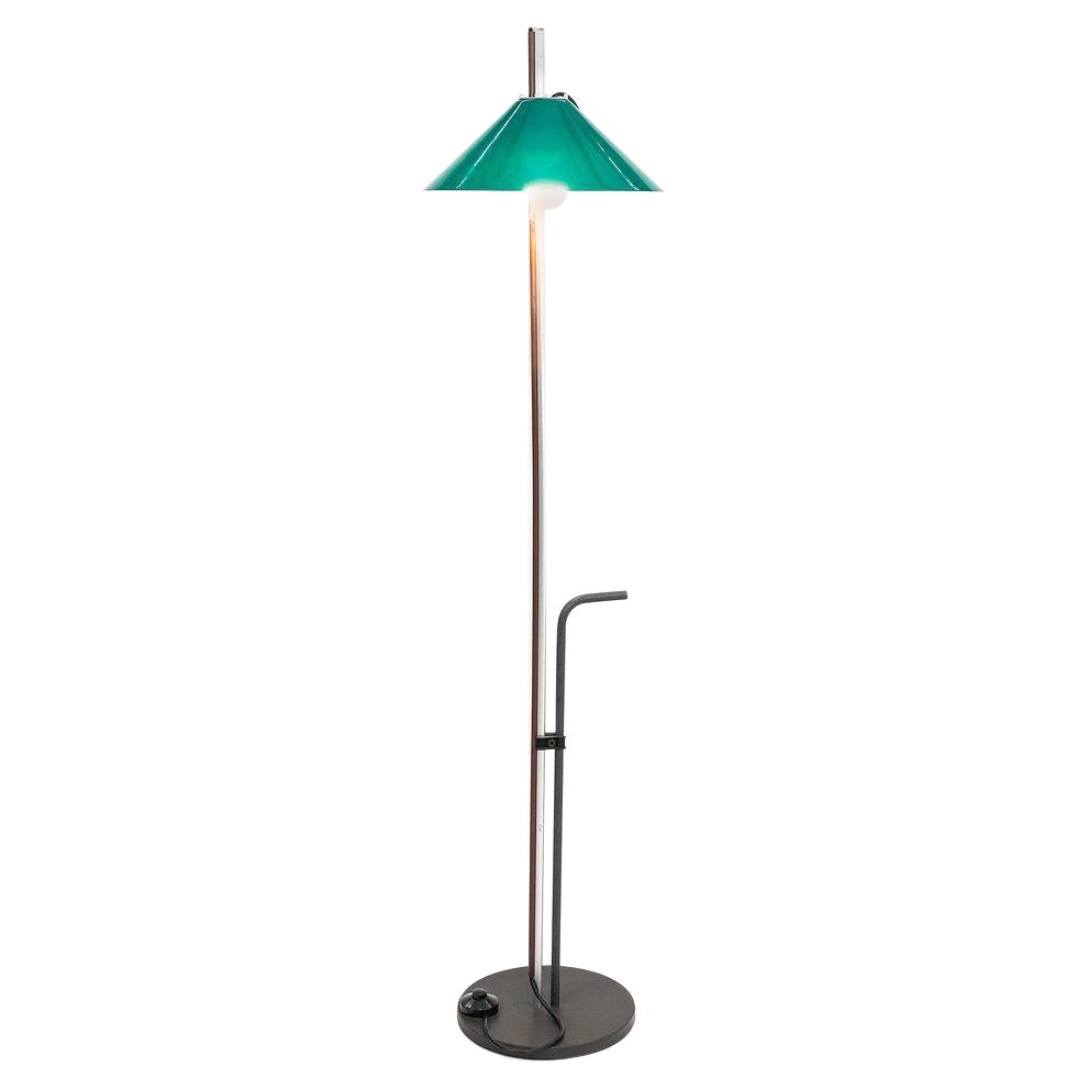 1974 Aggregato Terra Floor Lamp by Enzo Mari and Giancarlo Fassina for Artemide