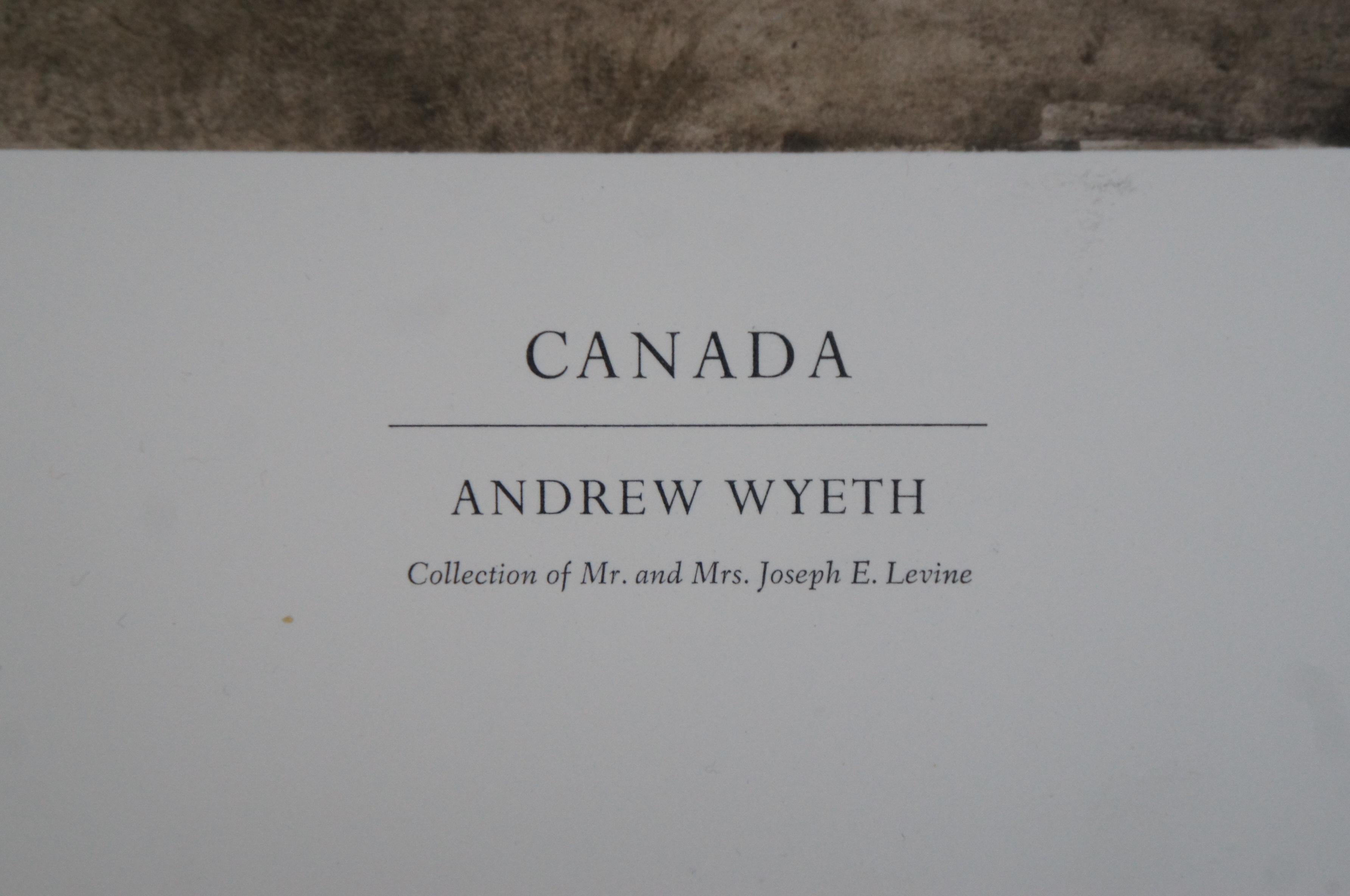 1976 Andrew Wyeth Canada Goose Lichtdruck Metropolitan Museum of Art 34