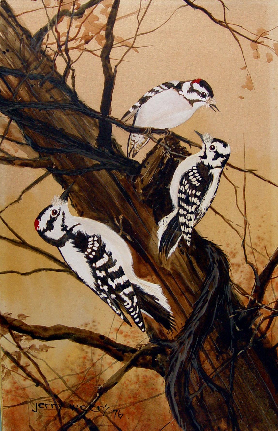 Rustic 1976 Jerry Weers Downey Woodpeckers Painting For Sale