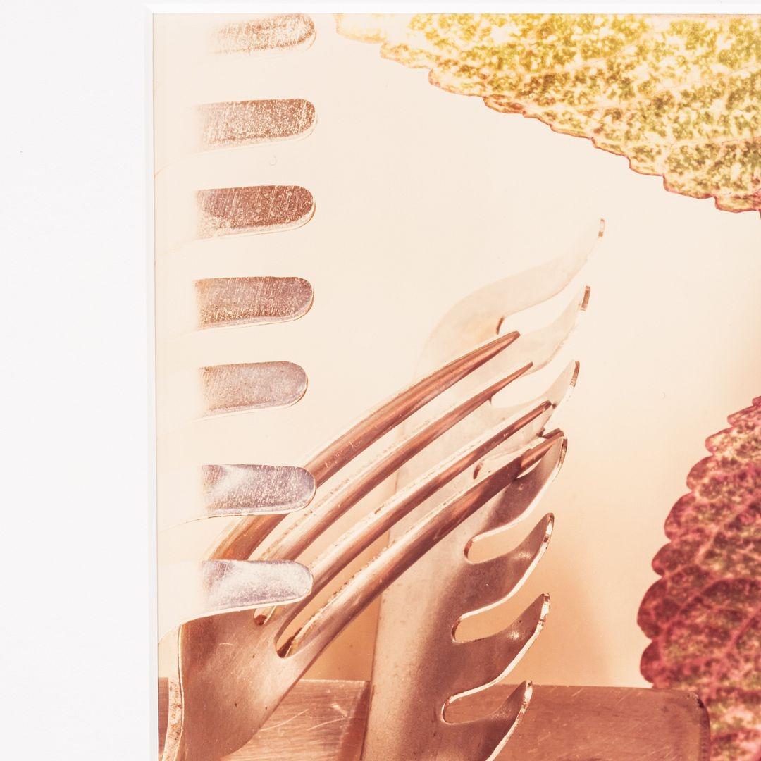Questa è una fotografia di cucina postmoderna di Jan Groover e risale al 1978. Quest'opera è l'edizione 1 di 3. Jan Groover si è concentrata principalmente sulla fotografia di nature morte e il suo lavoro è stato presentato ed esposto in musei di