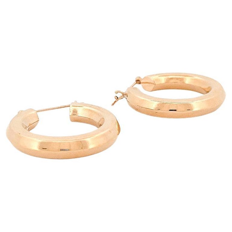 14k Yellow Gold Polished Hoop Earrings (5x30 mm) main image 0