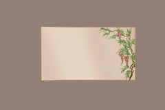 Hand Painted Specular Mirrors by Piantavigna, Brass Frames, 1980s