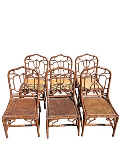 1980s Bamboo Rattan Dining Chairs With Cane Seating in Tortoise Color- Set of 6