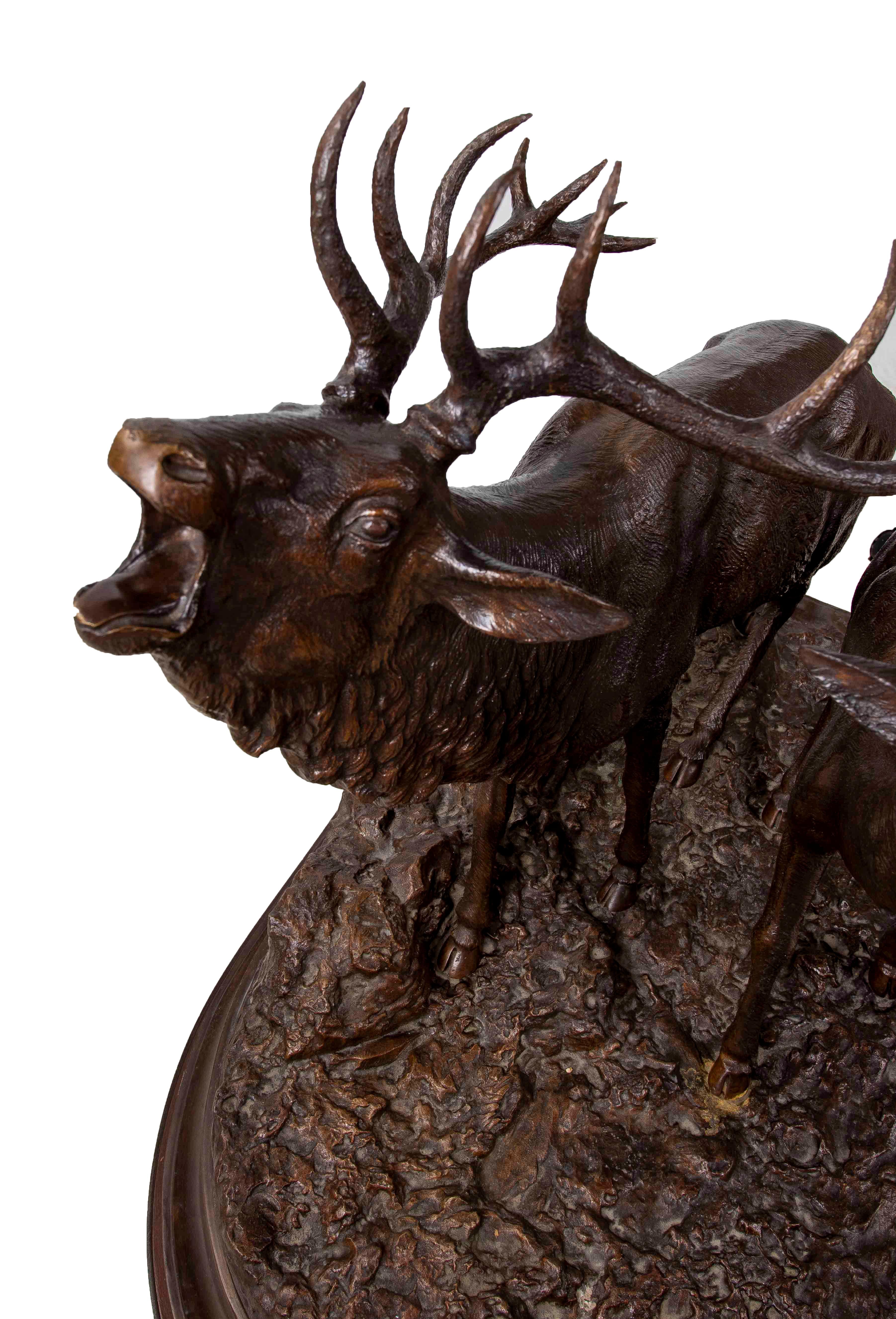 Impressionante scultura in bronzo che rappresenta una maestosa coppia di cervi in mezzo alla Nature. L'opera si distingue per il livello di dettaglio meticoloso, che cattura la consistenza realistica della pelliccia e dell'espressione degli animali.