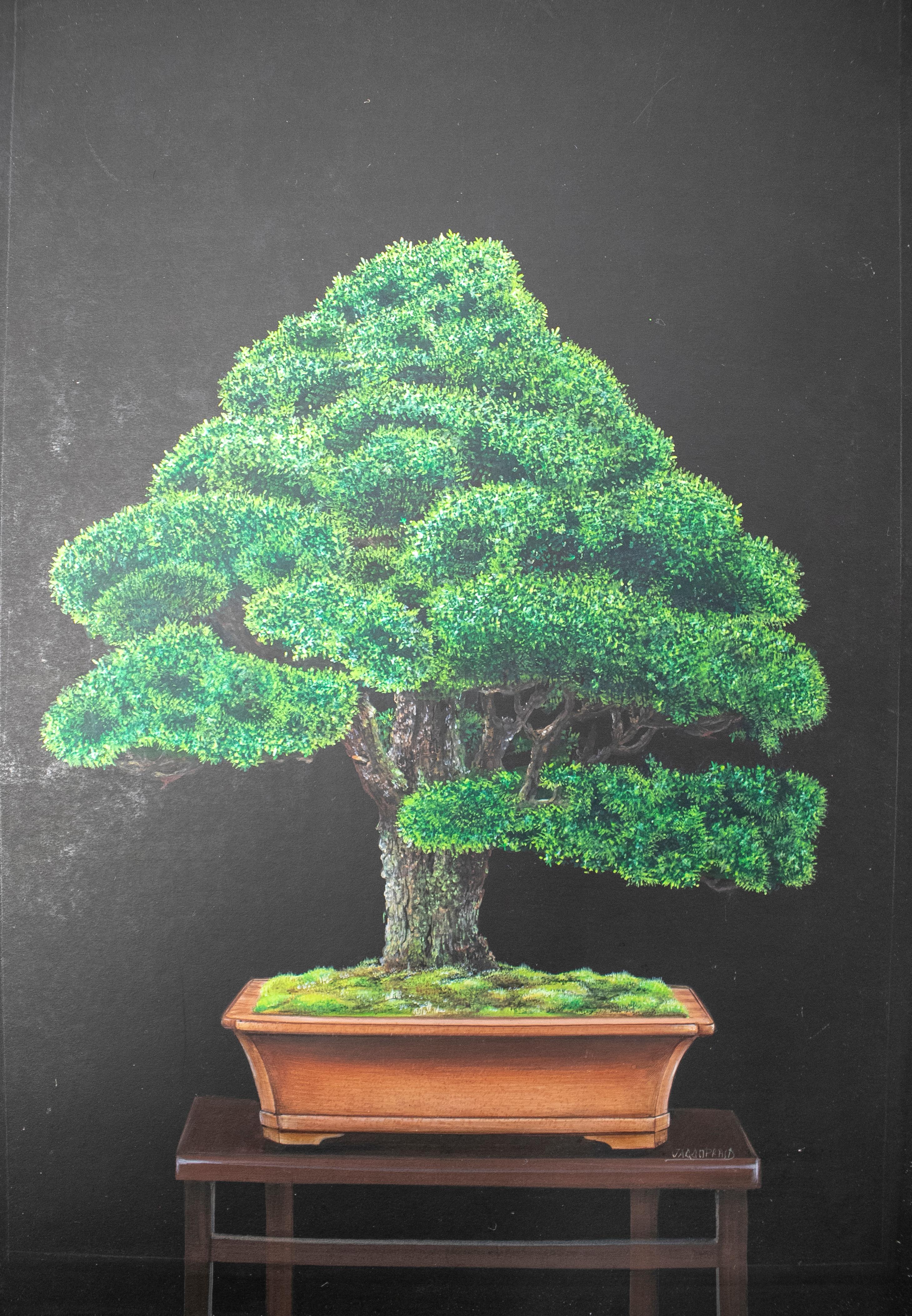 1980s Chinese pair of oil on canvas bonsai paintings from a private collection.

Dimensions each: 27.5 x 19cm.