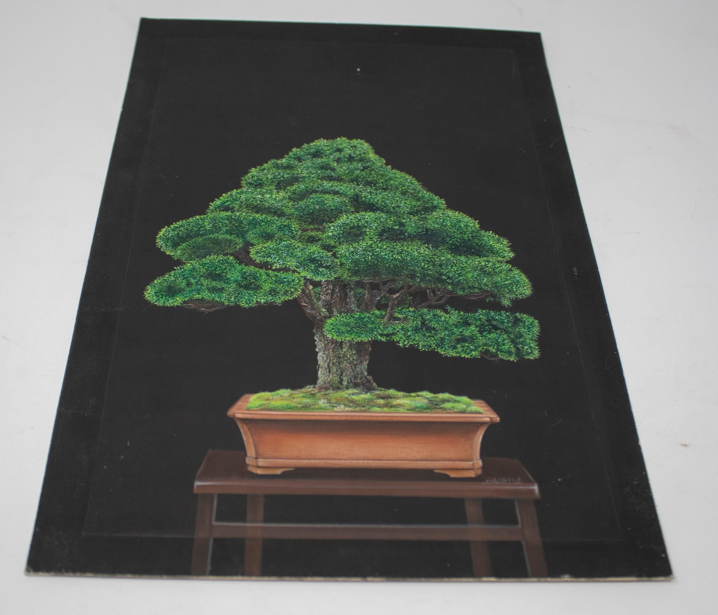 Wood 1980s Chinese Pair of Oil on Canvas Bonsai Paintings from a Private Collection For Sale