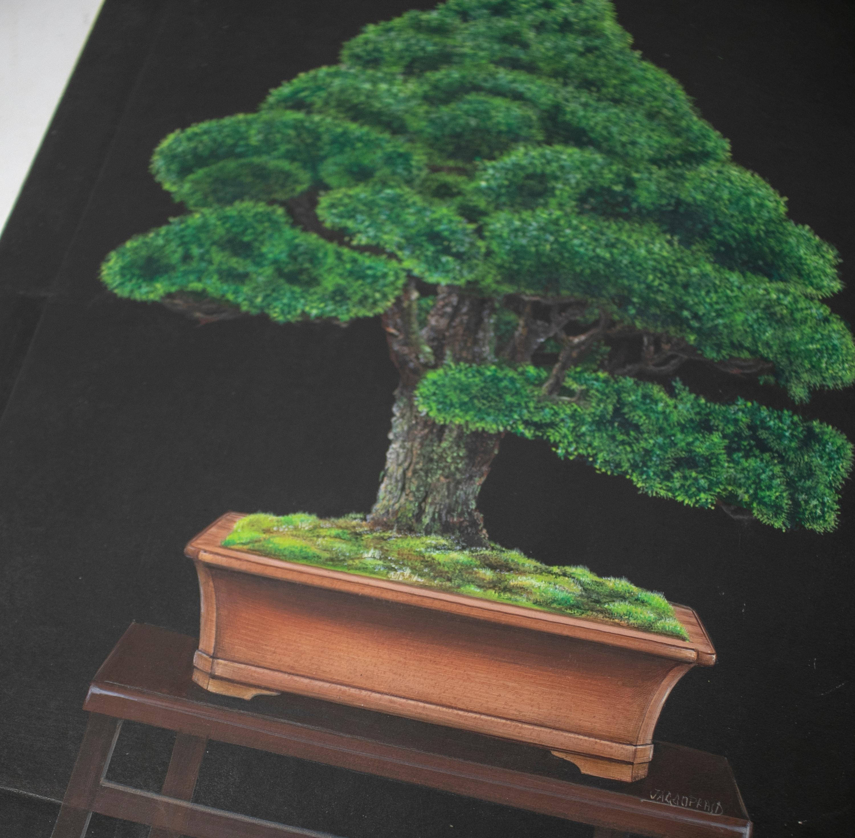 1980s Chinese Pair of Oil on Canvas Bonsai Paintings from a Private Collection For Sale 1