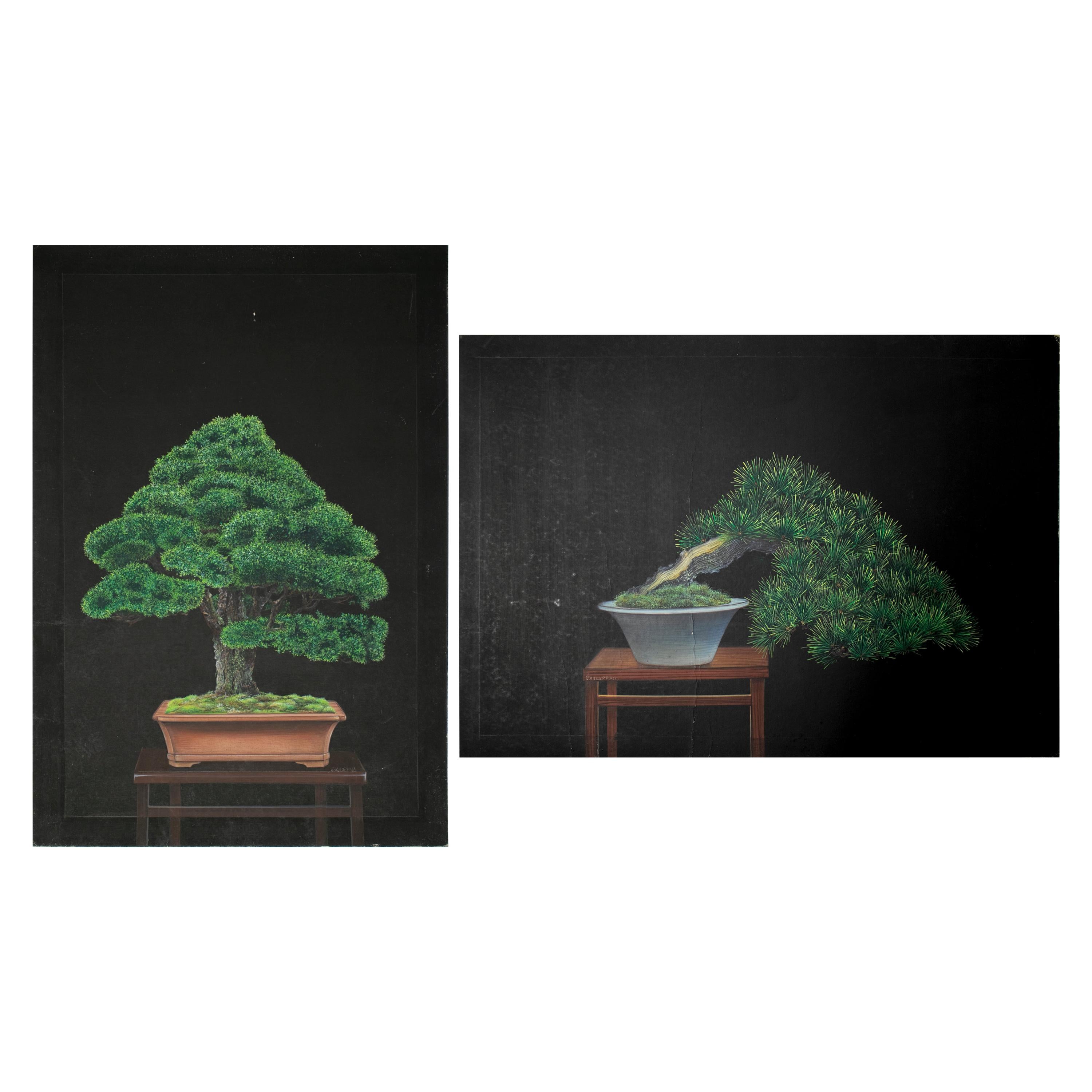 1980s Chinese Pair of Oil on Canvas Bonsai Paintings from a Private Collection For Sale