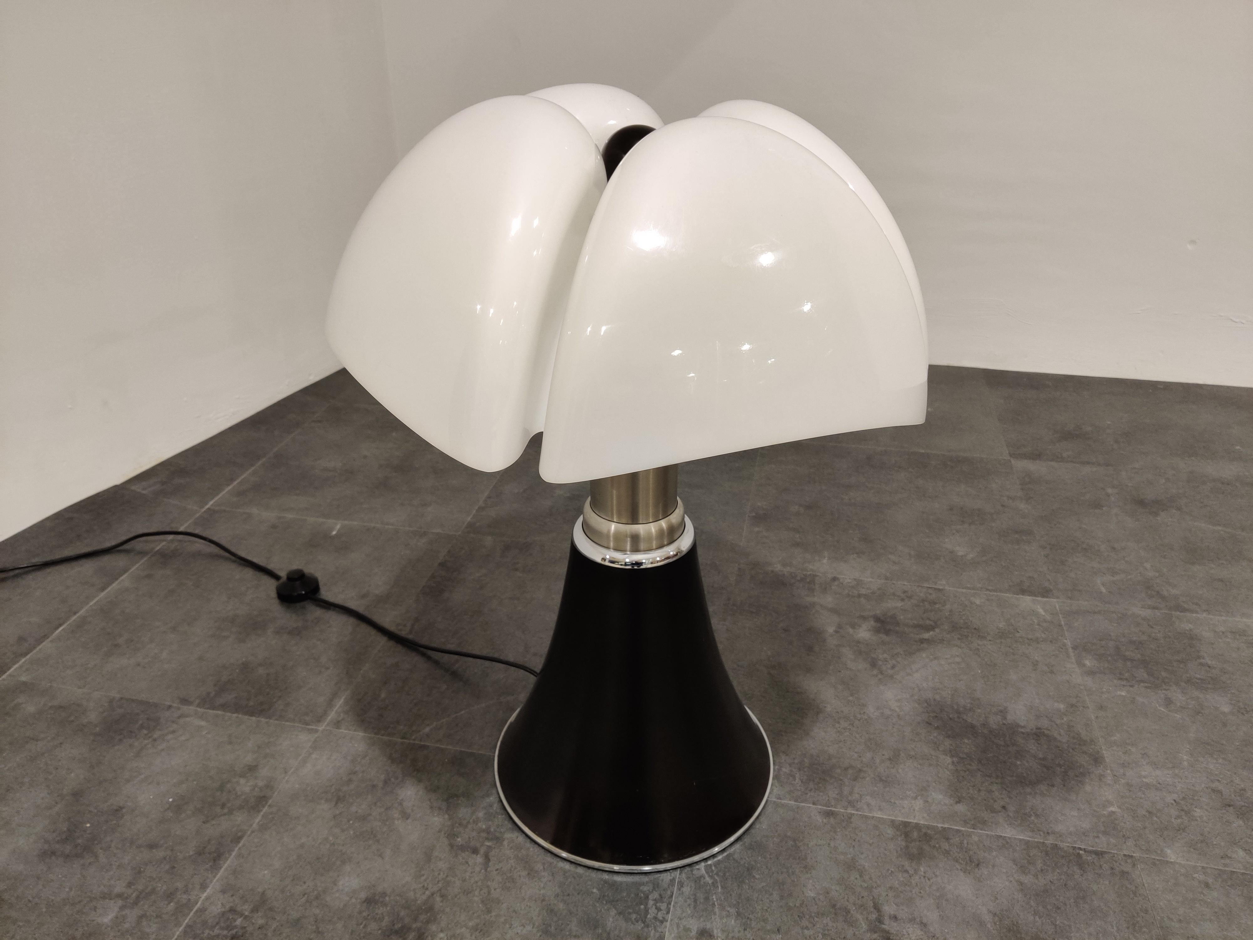 martinelli luce pipistrello