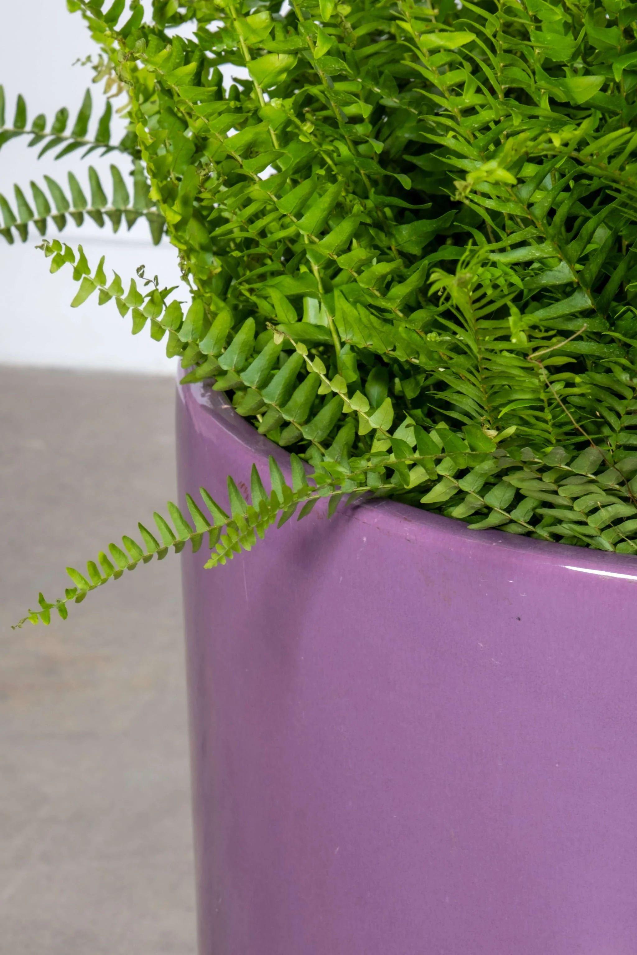 Post-Modern 1980s Gainey California Planter, Purple For Sale