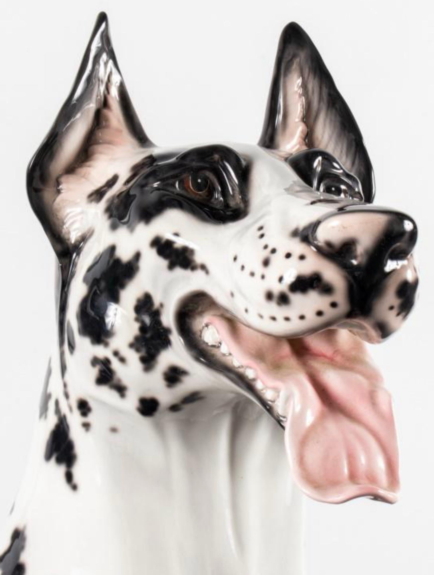 Años 80 Escultura de porcelana tamaño natural Gran Danés Arlequín De Hispania Lladro en venta 2