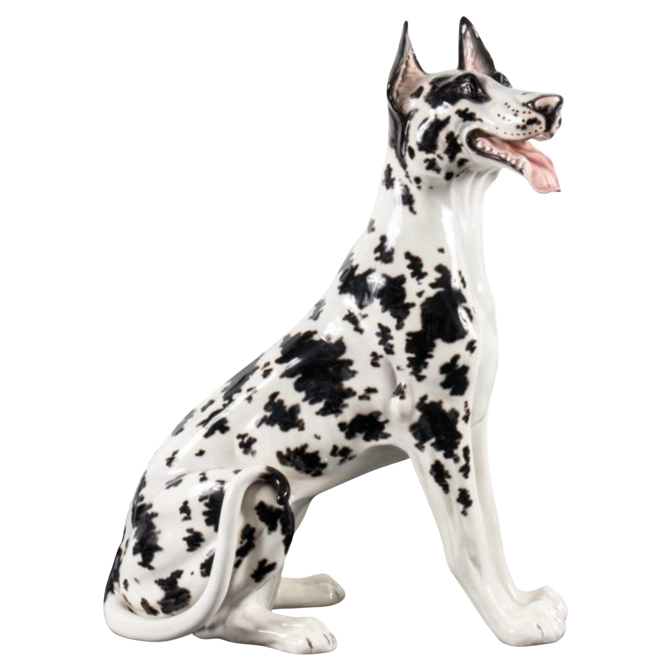 Años 80 Escultura de porcelana tamaño natural Gran Danés Arlequín De Hispania Lladro en venta