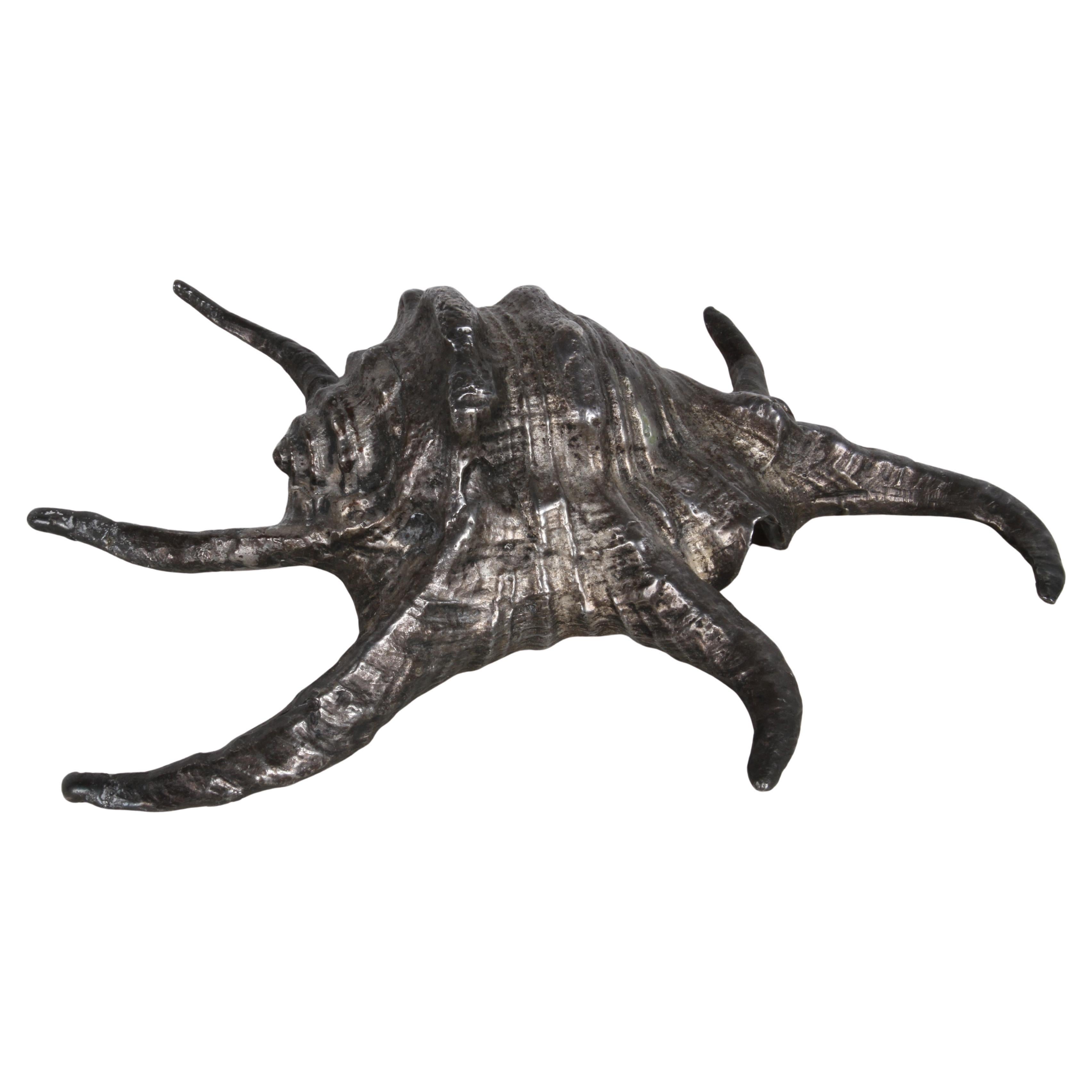 1980s Maitland - Smith Brass Silver Plated Large Conch Sea Shell Table Sculpture For Sale