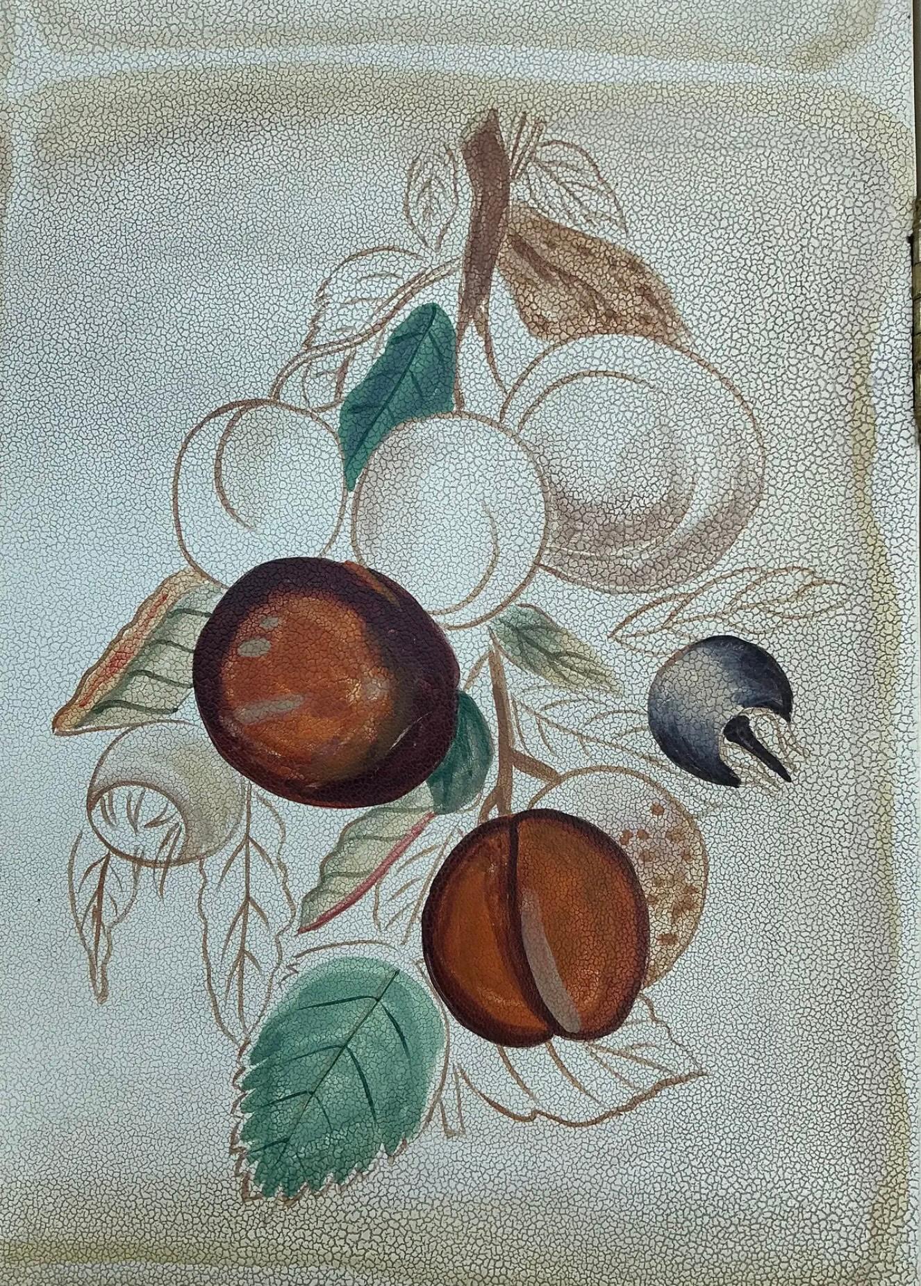 1980er Maitland Smith Handgemalte Botanische Blumen & Früchte Folding Screen (Ende des 20. Jahrhunderts) im Angebot