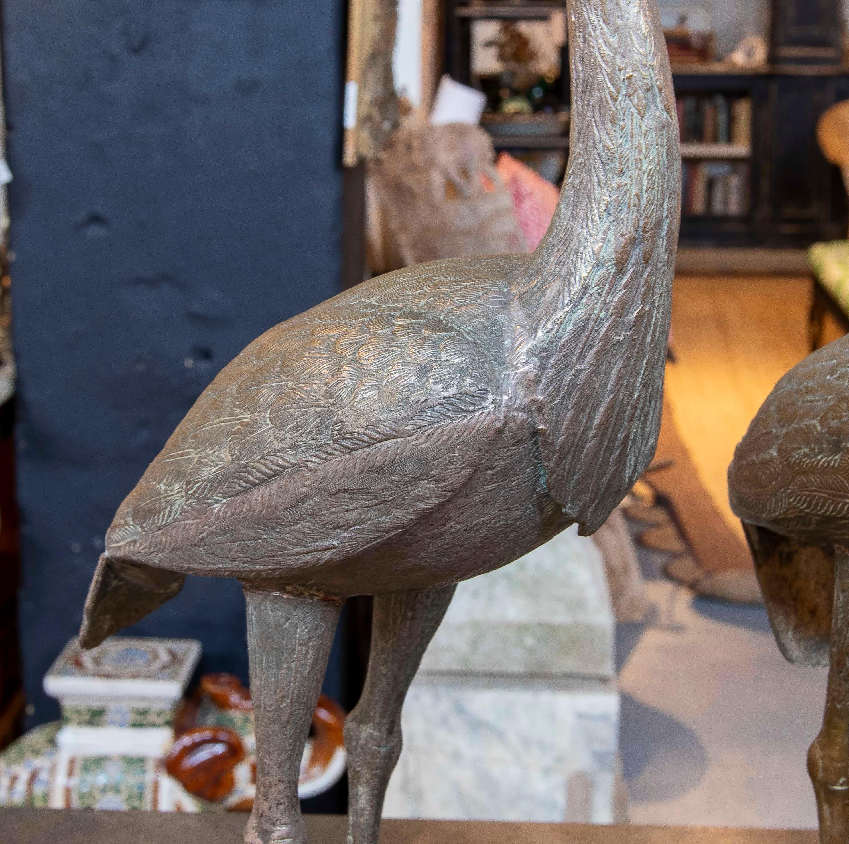 Set di due sculture di gru in bronzo patinato, rappresentate con grande dettaglio e realismo. Uno degli uccelli è raffigurato in posizione verticale con il collo allungato, mentre l'altro è in posizione di riposo con la testa inclinata, evocando una
