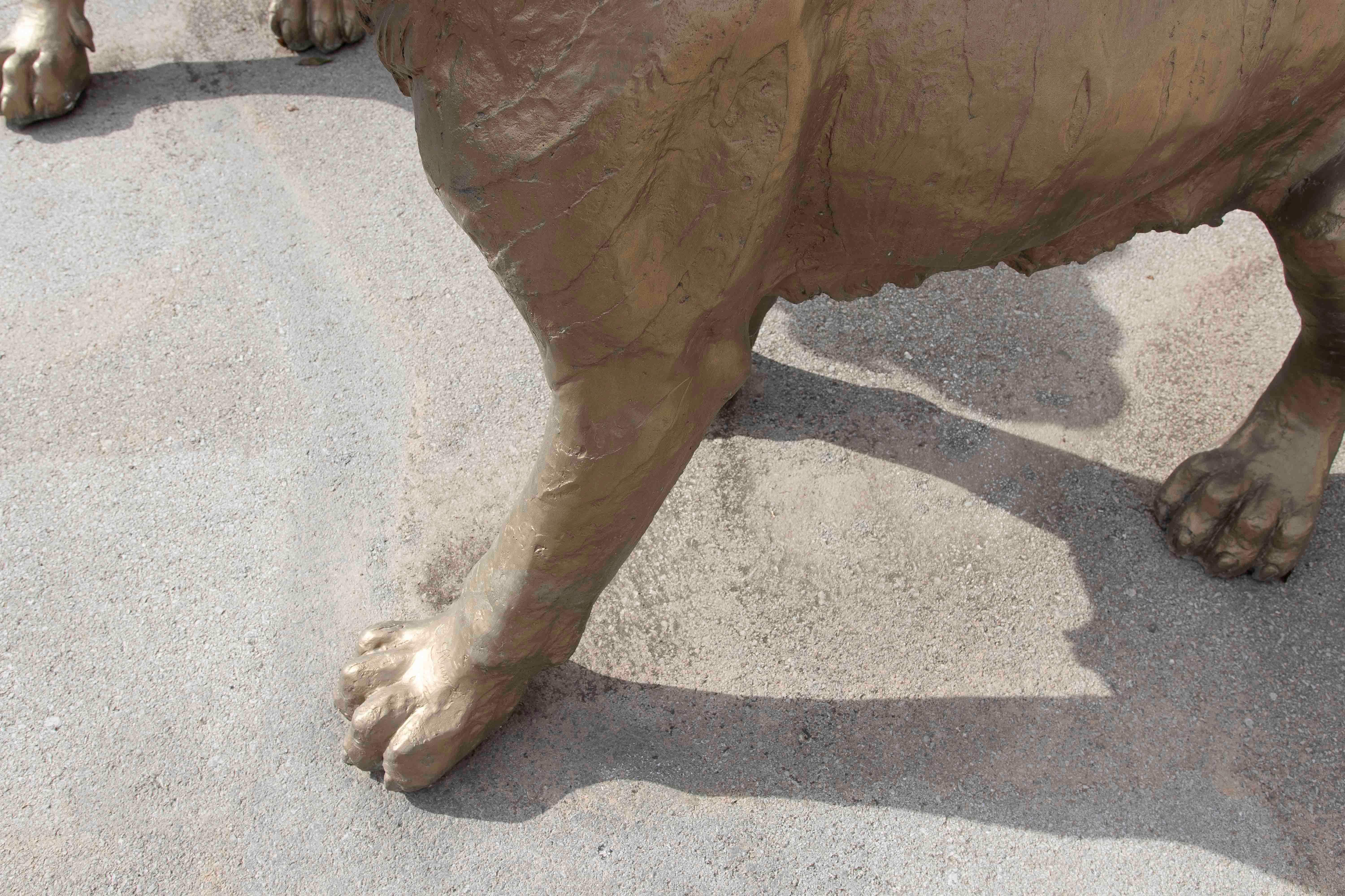 Coppia di sculture in bronzo di leoni ruggenti degli anni '80 in vendita 5