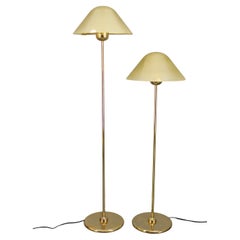 Floor Lamps
