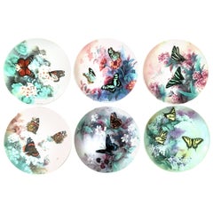 1980s Porcelain "Butterfly" Collectors Plates by Ws George Set of Six Pieces