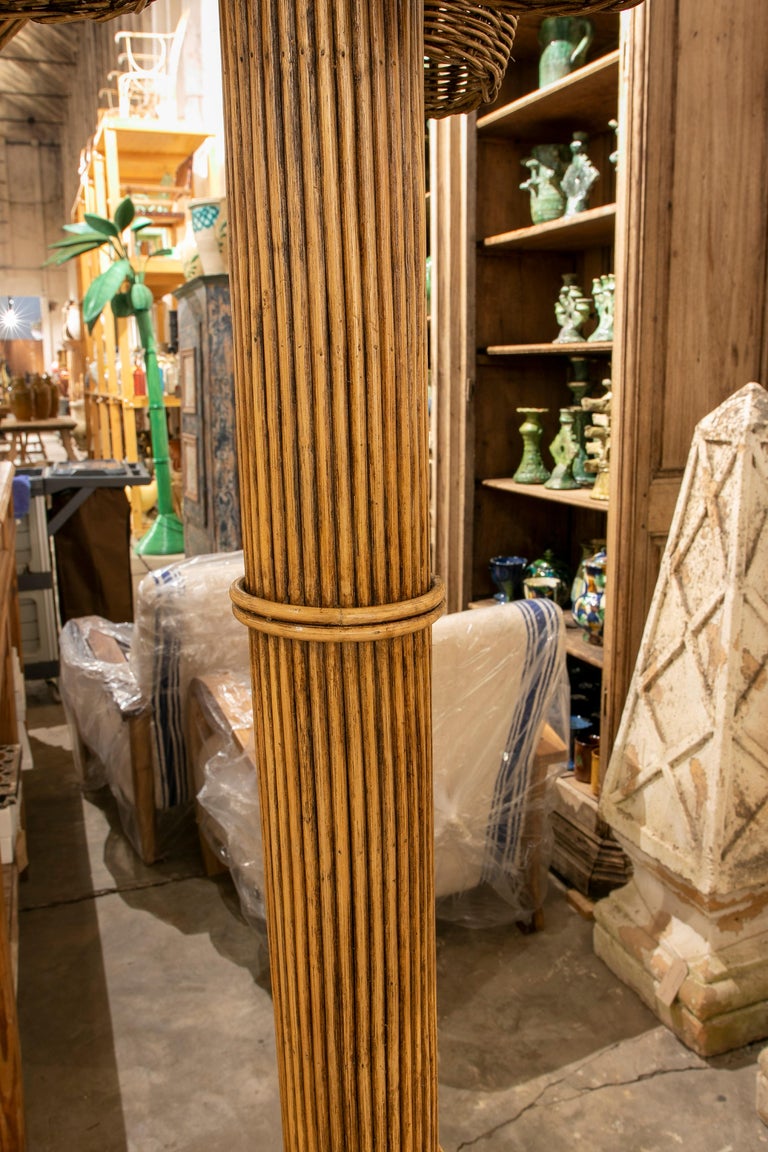 1980s Spanish Woven Wicker Palm Tree Statue For Sale at 1stDibs