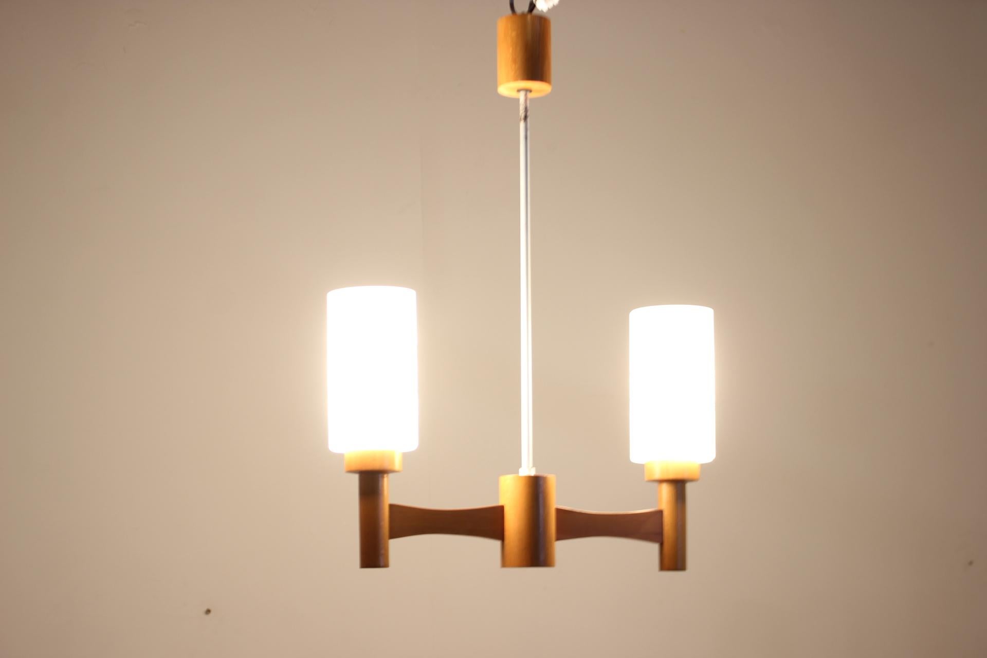 1980s, Wood and Glass Pendant Light, Czechoslovakia For Sale 4