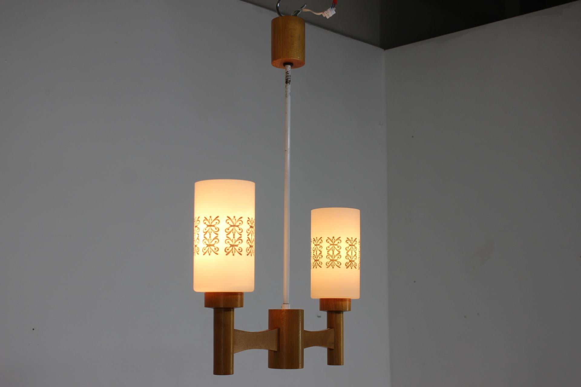 1980s, Wood and Glass Pendant Light, Czechoslovakia For Sale 7