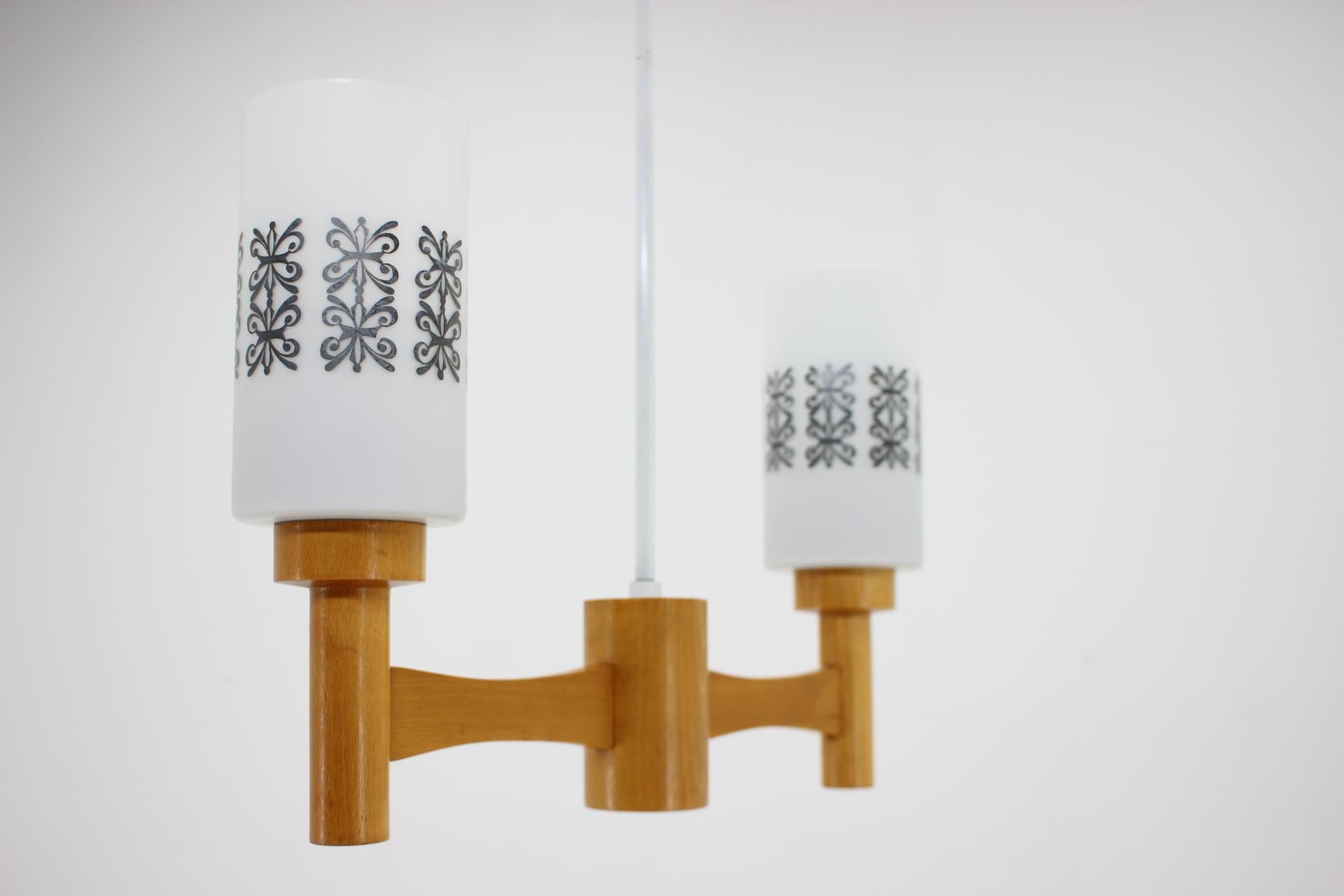 Polished 1980s, Wood and Glass Pendant Light, Czechoslovakia For Sale