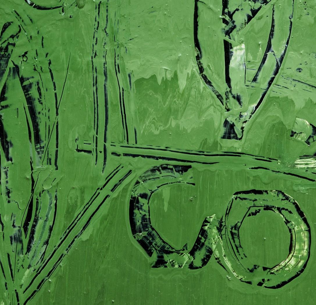 Hand-Painted 1984 Barry Brigewood (American) Green Enamel on Wood, in Artist Modified Frame For Sale