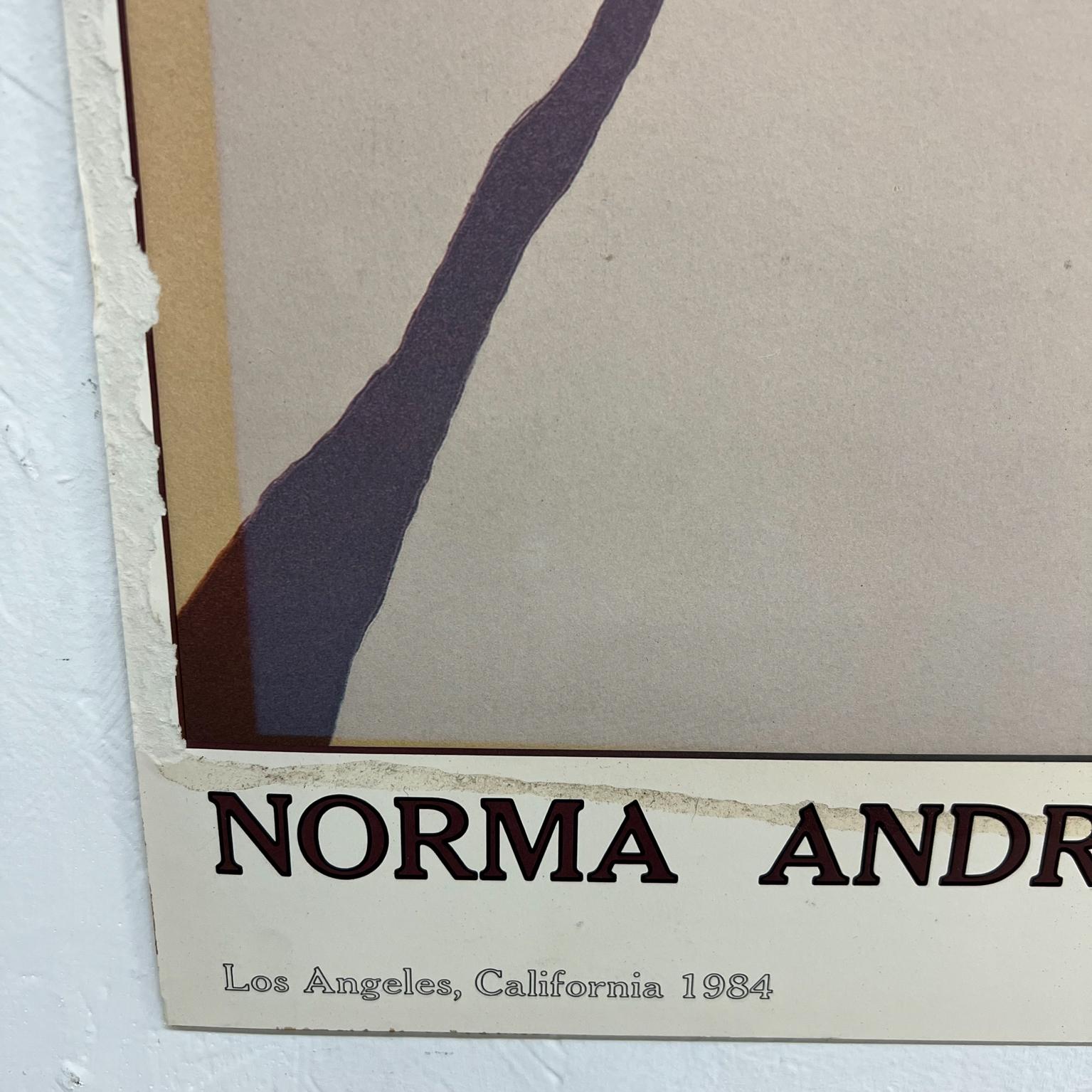 1984 Norma Andraud Modern Art Los Angeles Ca Many Feathers Embossed Poster  In Good Condition For Sale In Chula Vista, CA