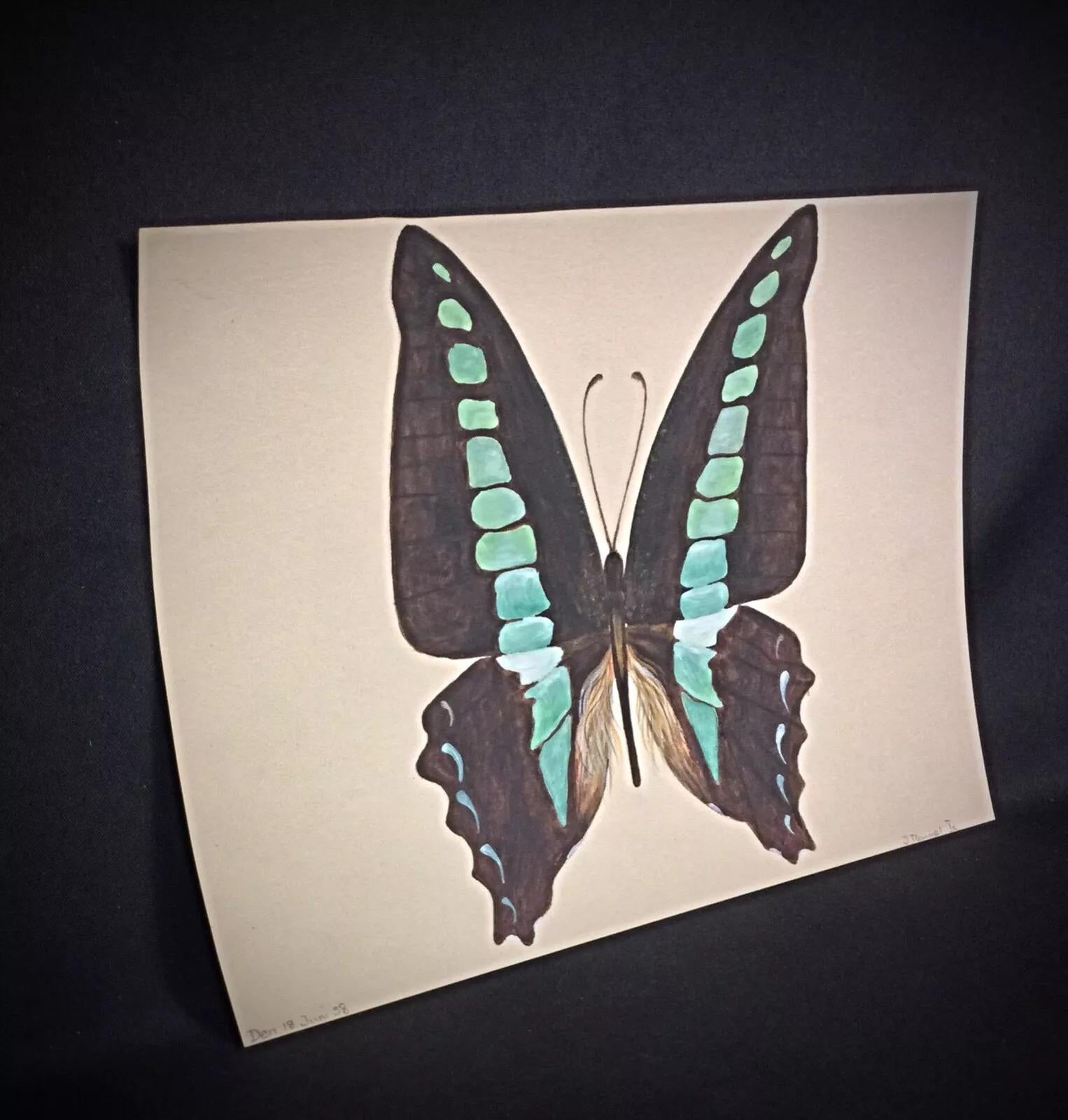 1985 Acuarela de una mariposa marrón y azul por J. René Rommel - Firmada,  - 2Y291 Desconocido en venta
