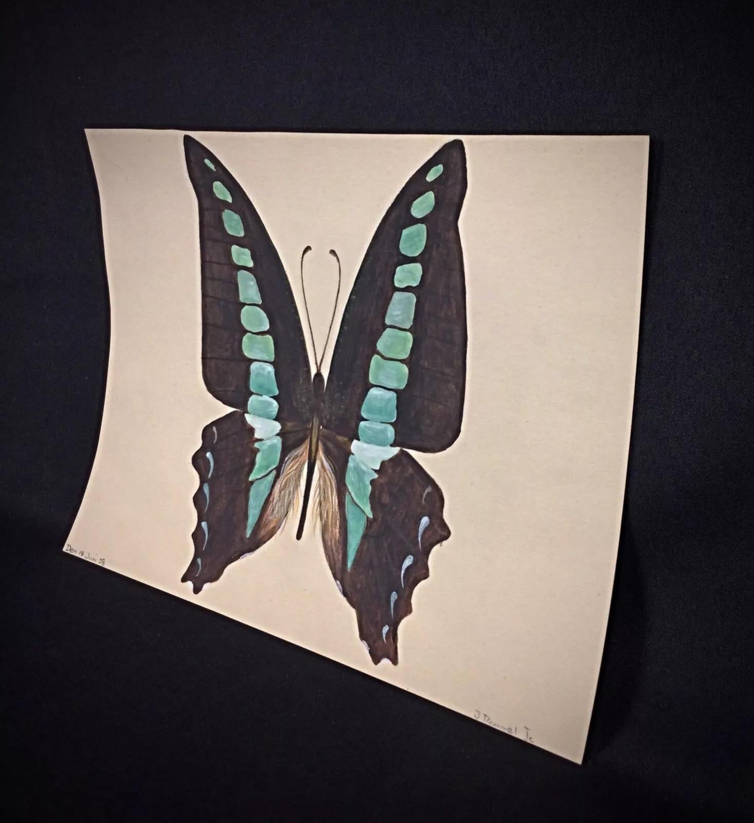 1985 Acuarela de una mariposa marrón y azul por J. René Rommel - Firmada,  - 2Y291 finales del siglo XX en venta
