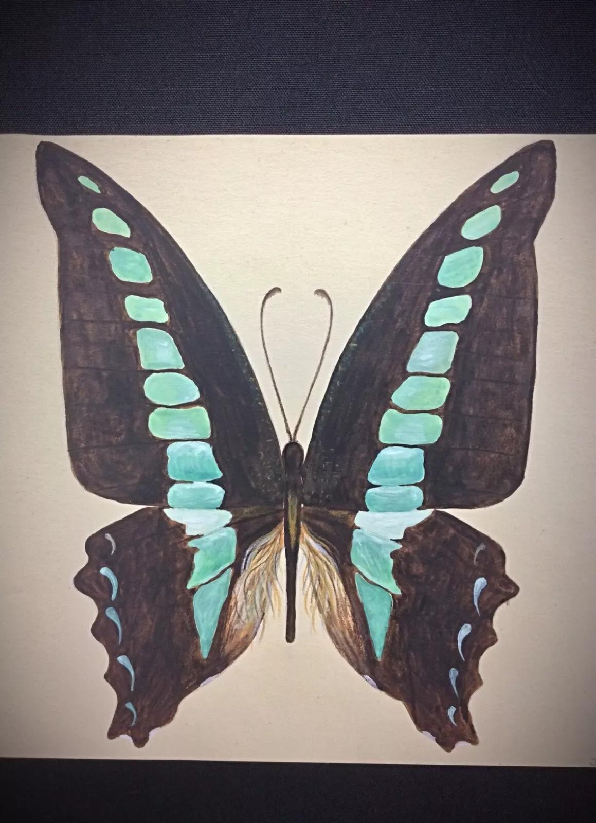 1985 Acuarela de una mariposa marrón y azul por J. René Rommel - Firmada,  - 2Y291 Papel en venta