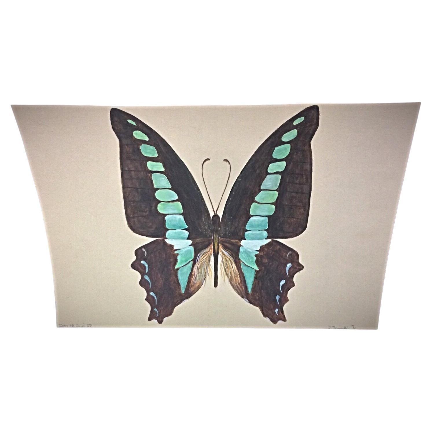 1985 Aquarelle d'un papillon Brown & Blue par J. René Rommel - Signée,  - 2Y291