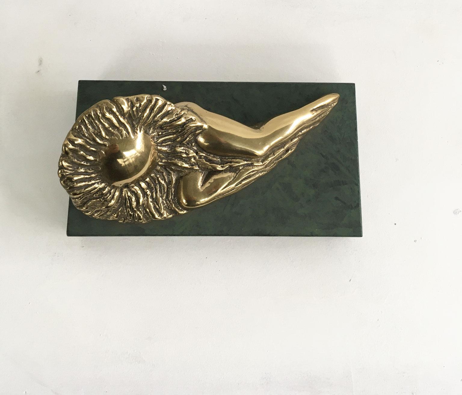 This is an engaging bronze sculpture create by the Italian artist Patrizia Guerresi, in the 1986. The piece is a multiple of 1000 specimen on a green painted wooden base. The title of this artwork is