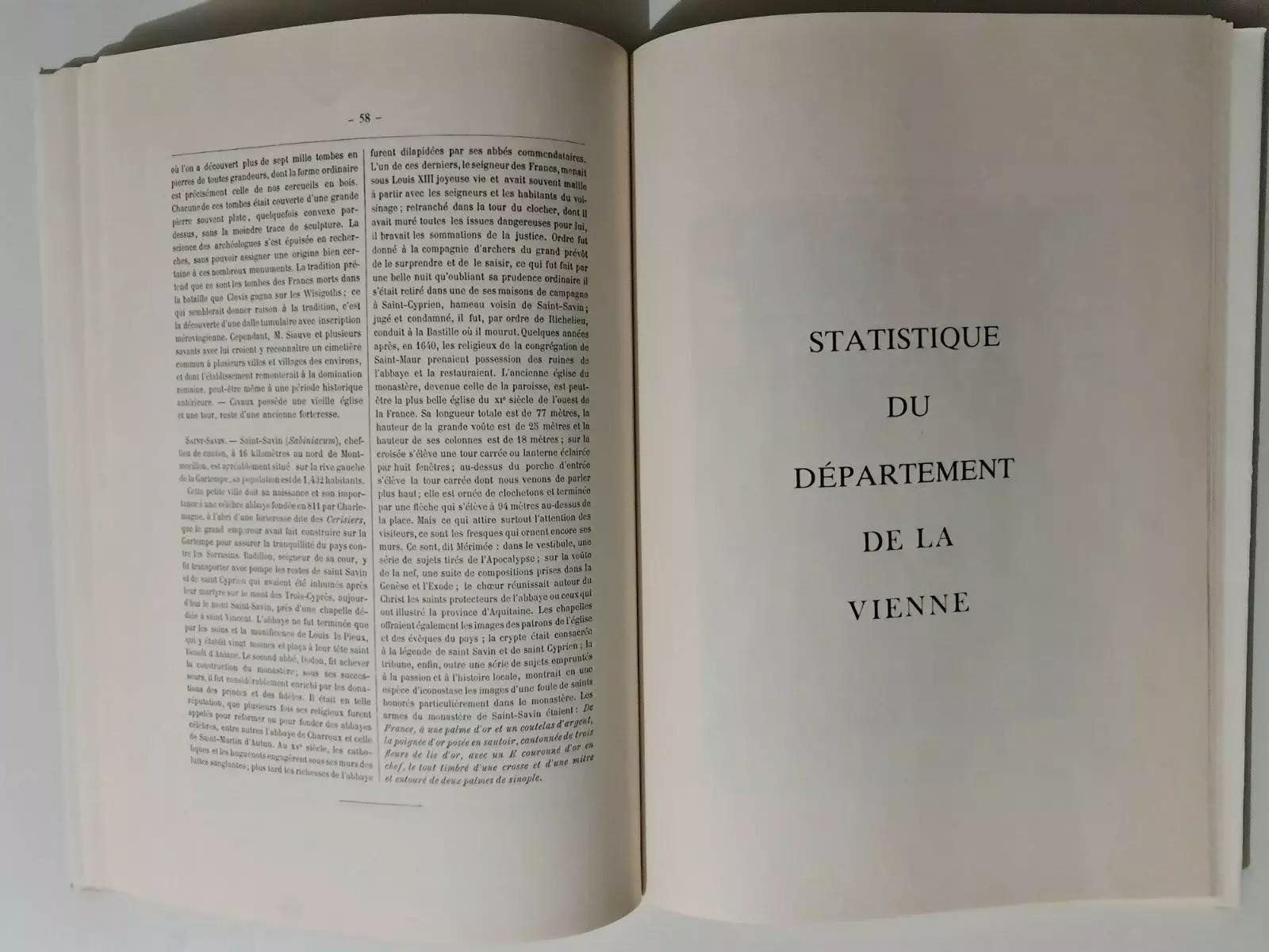 Questa ristampa del 1988 di Le département de la Vienne, pubblicato originariamente nel 1882, offre uno sguardo dettagliato sulla geografia e sull'importanza storica della regione di Vienne in Francia. Pubblicata da Editions du Bastion, questa
