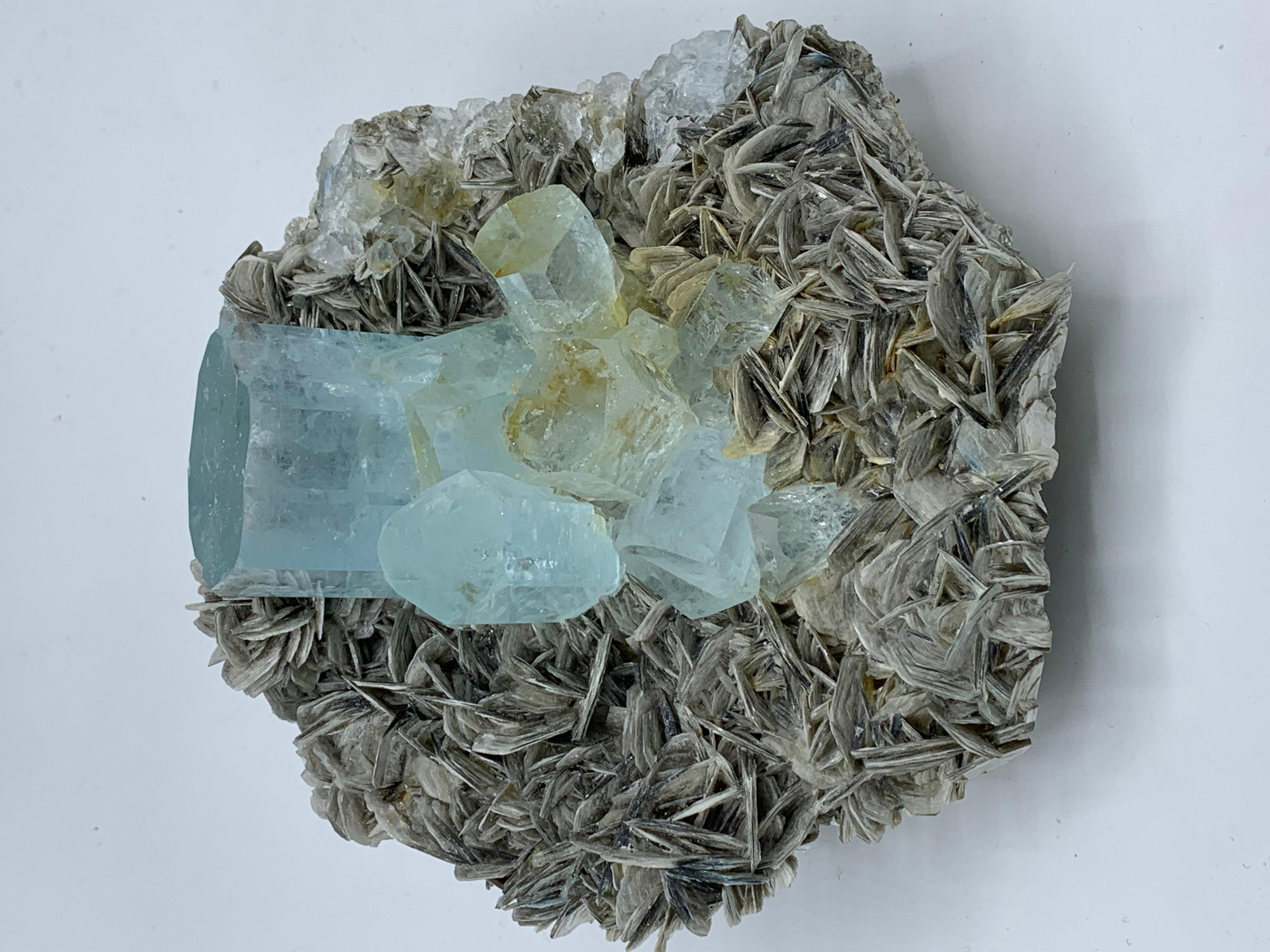 Magnifique spécimen d'aigue-marine de 1989 en muscovite provenant de Nagar, Pakistan en vente 2