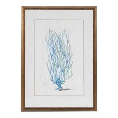 1990s Abstract Blue Coral Reef Print, Framed in Distressed Gold Under Glass