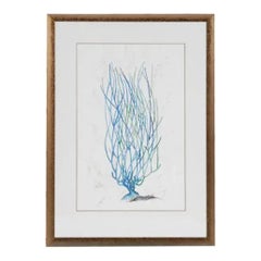 1990s Abstract Blue Coral Reef Print, Framed in Distressed Gold Under Glass