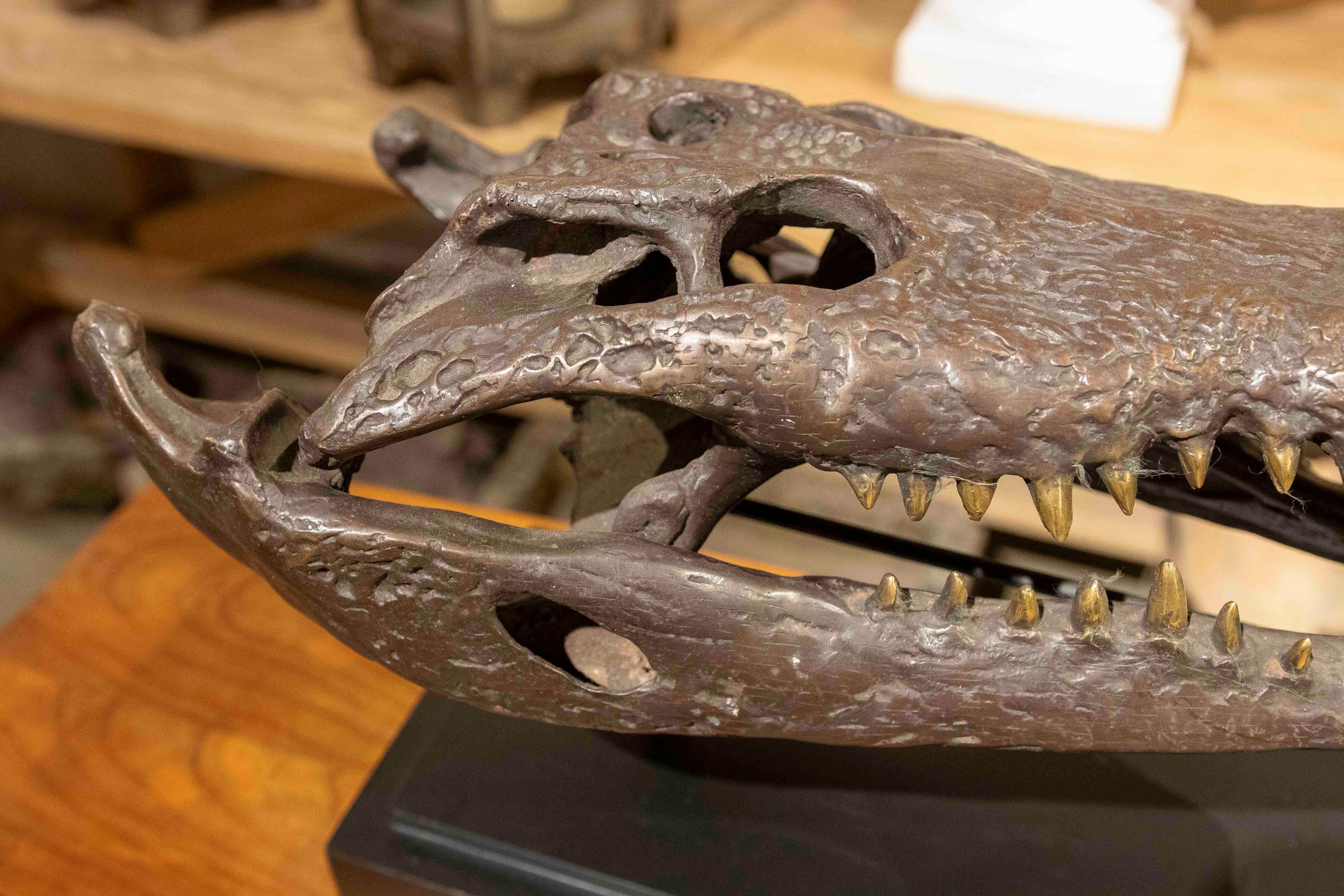 1990s Bronze Sculptural Replica of a Crocodile Skull on a Base For Sale 5