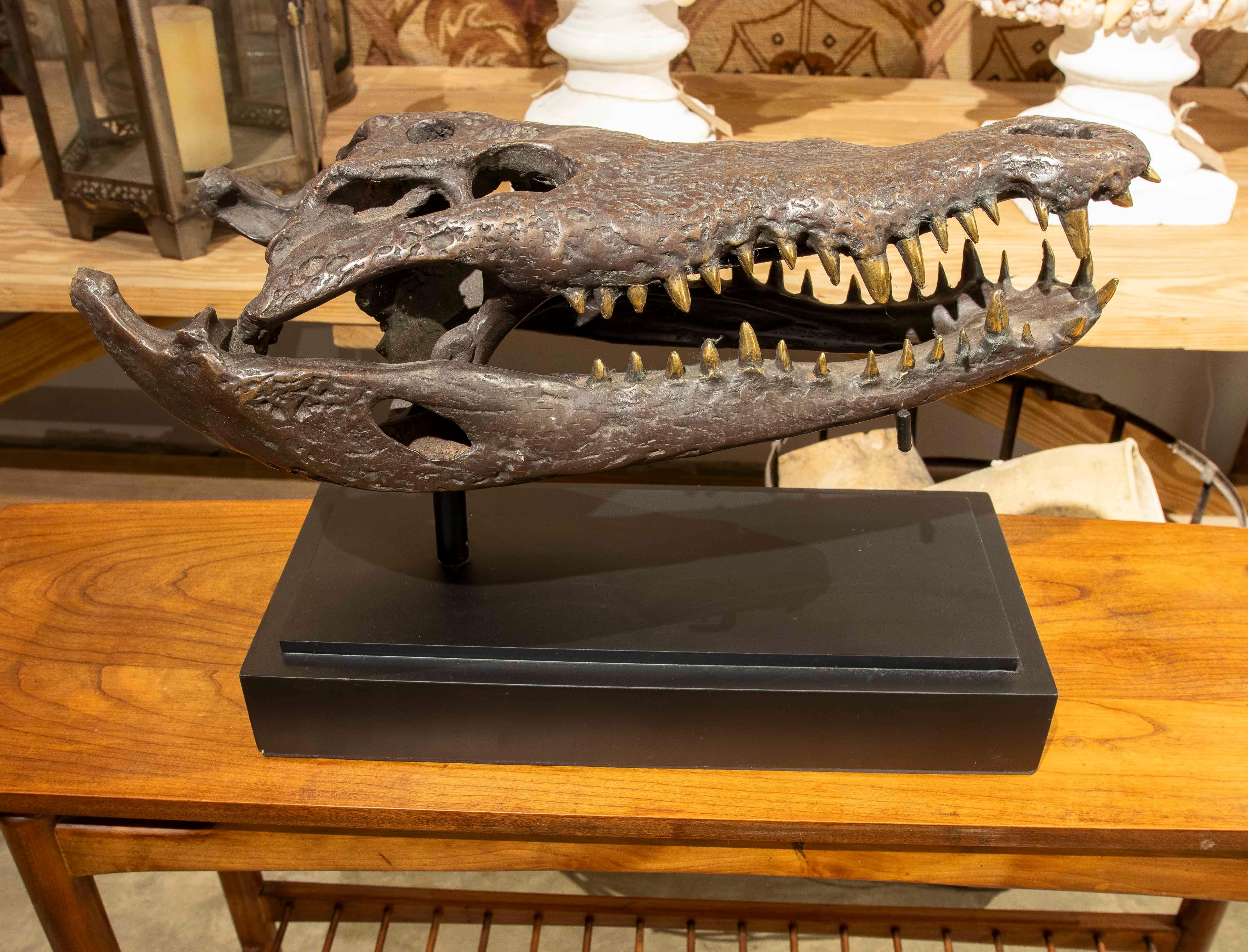 Replica of a crocodile skull made of bronze with an aged metallic finish, highlighting the animal's bone texture and anatomical details. Mounted on a rectangular black base, this piece combines art and nature, evoking the style of a curiosity